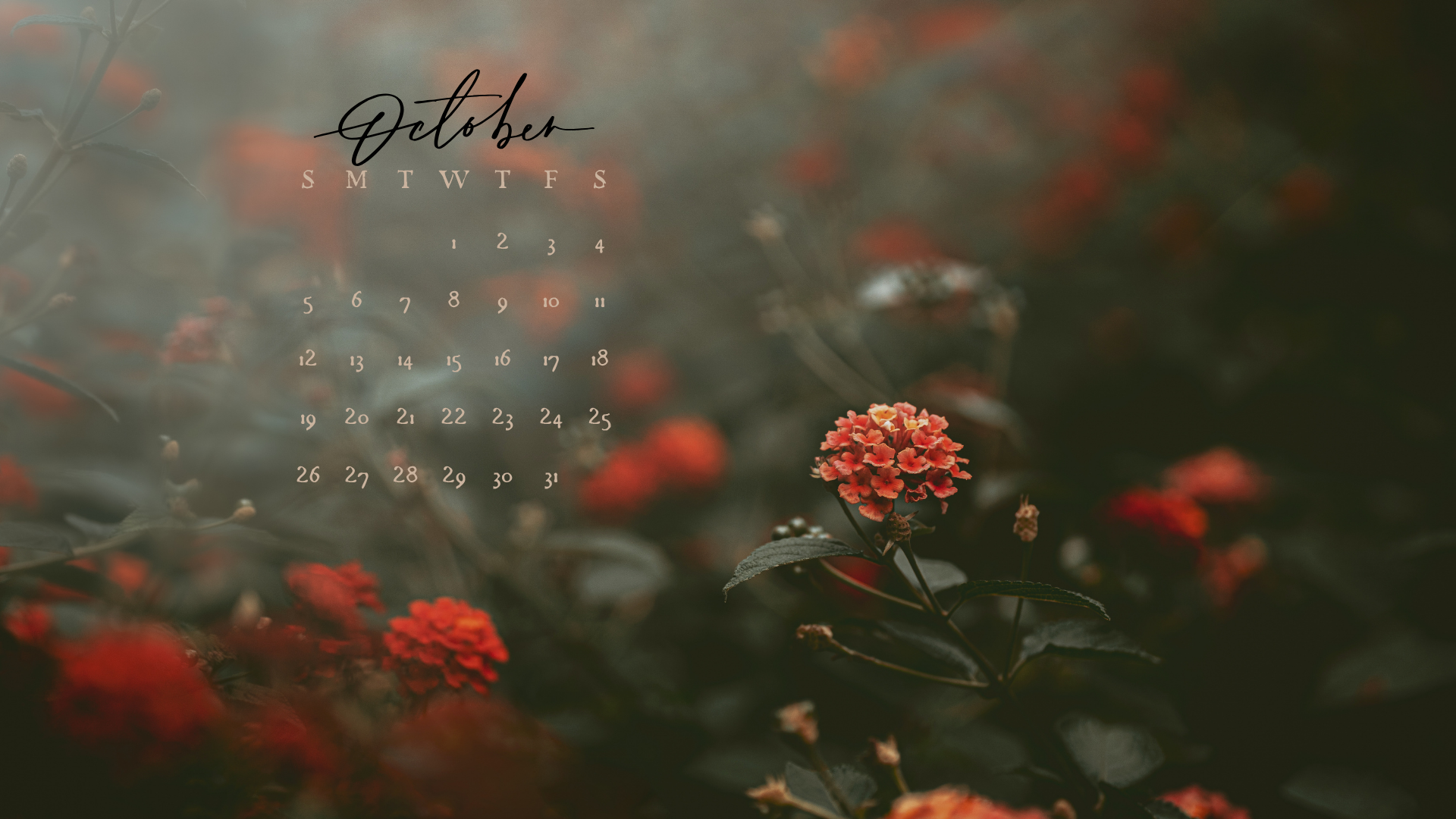 Free October 2025 Desktop Calendar Background (EASY DOWNLOAD)