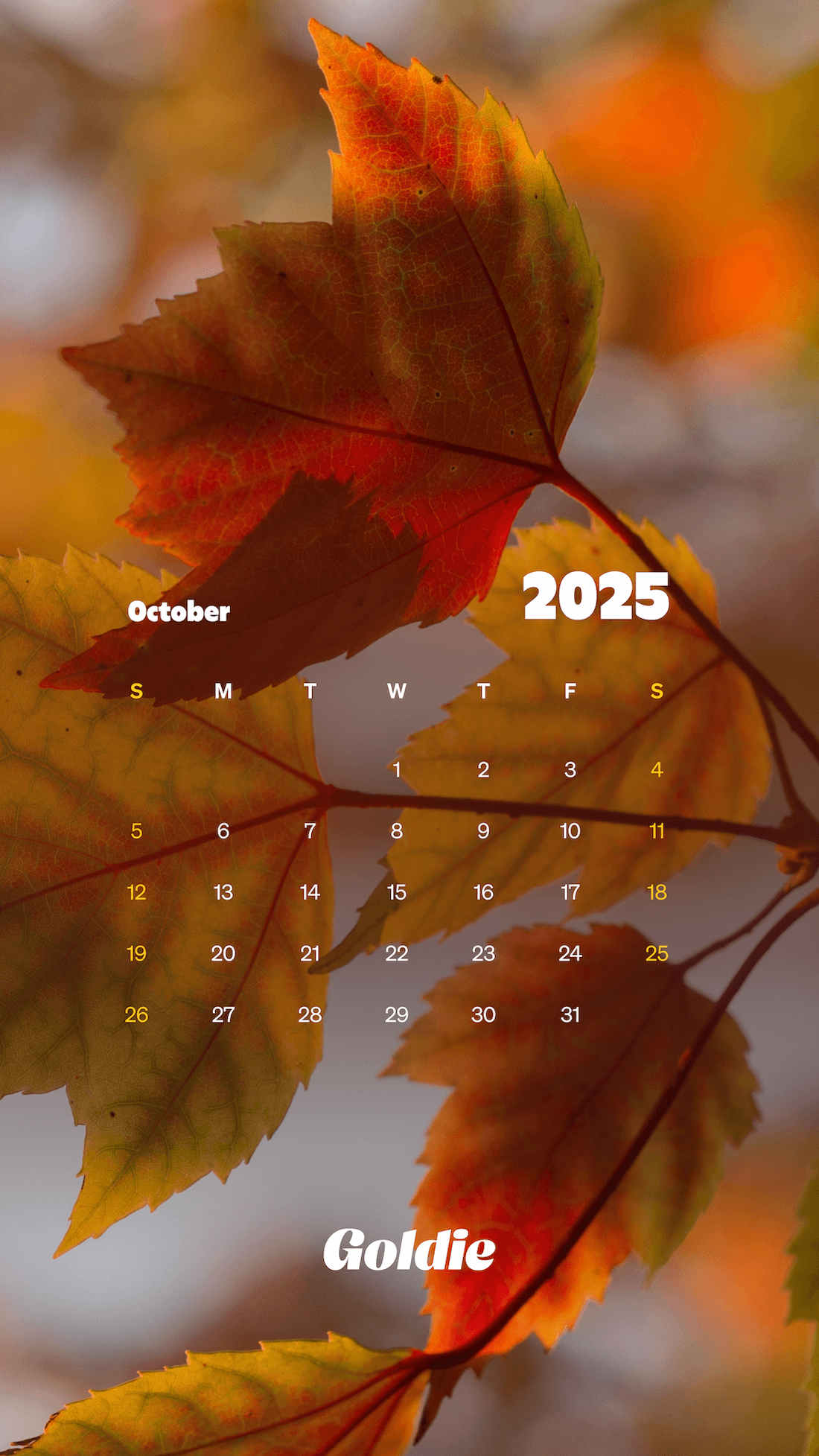 Free October 2025 Wallpaper Calendars