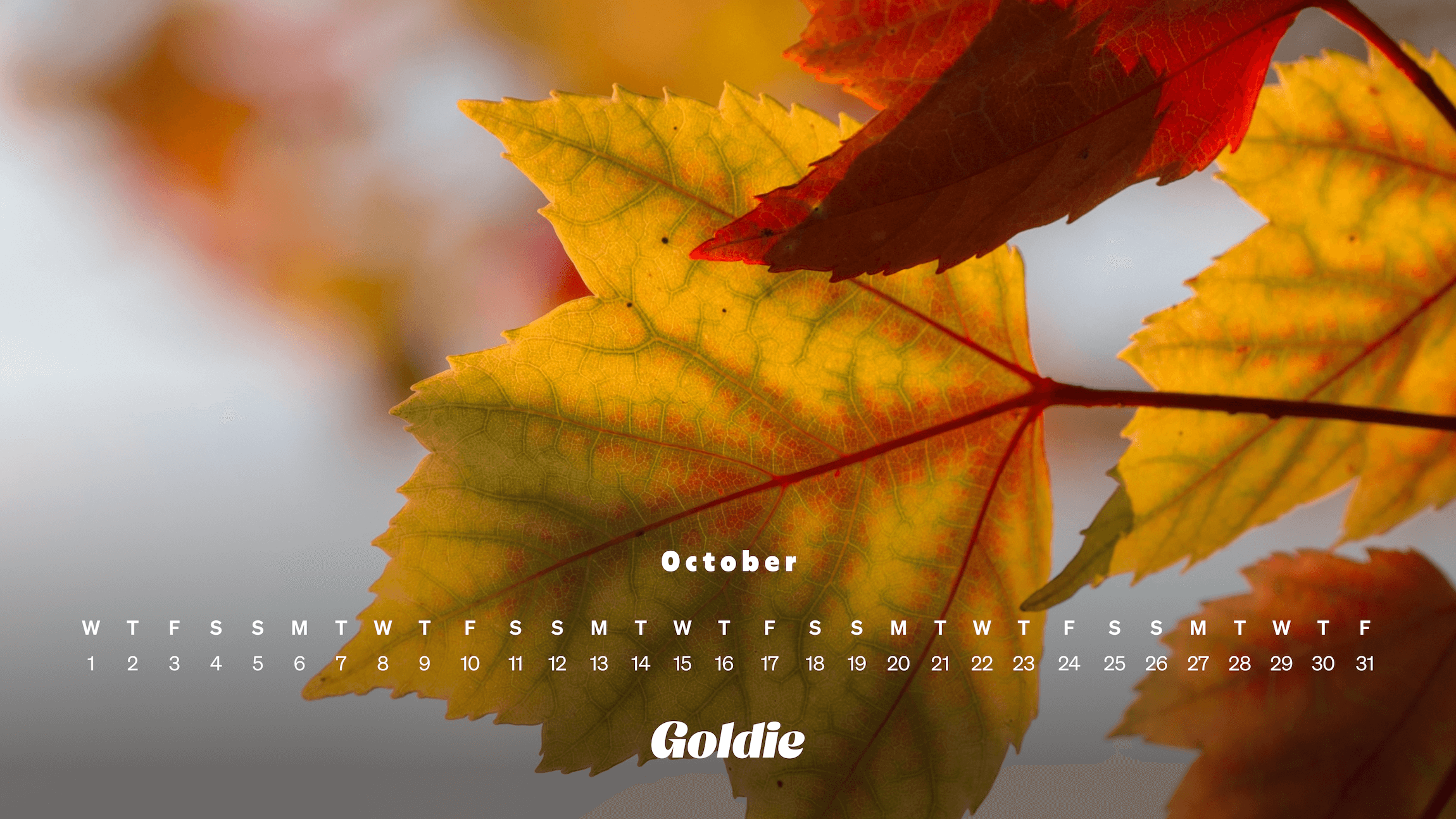 Free October 2025 Wallpaper Calendars