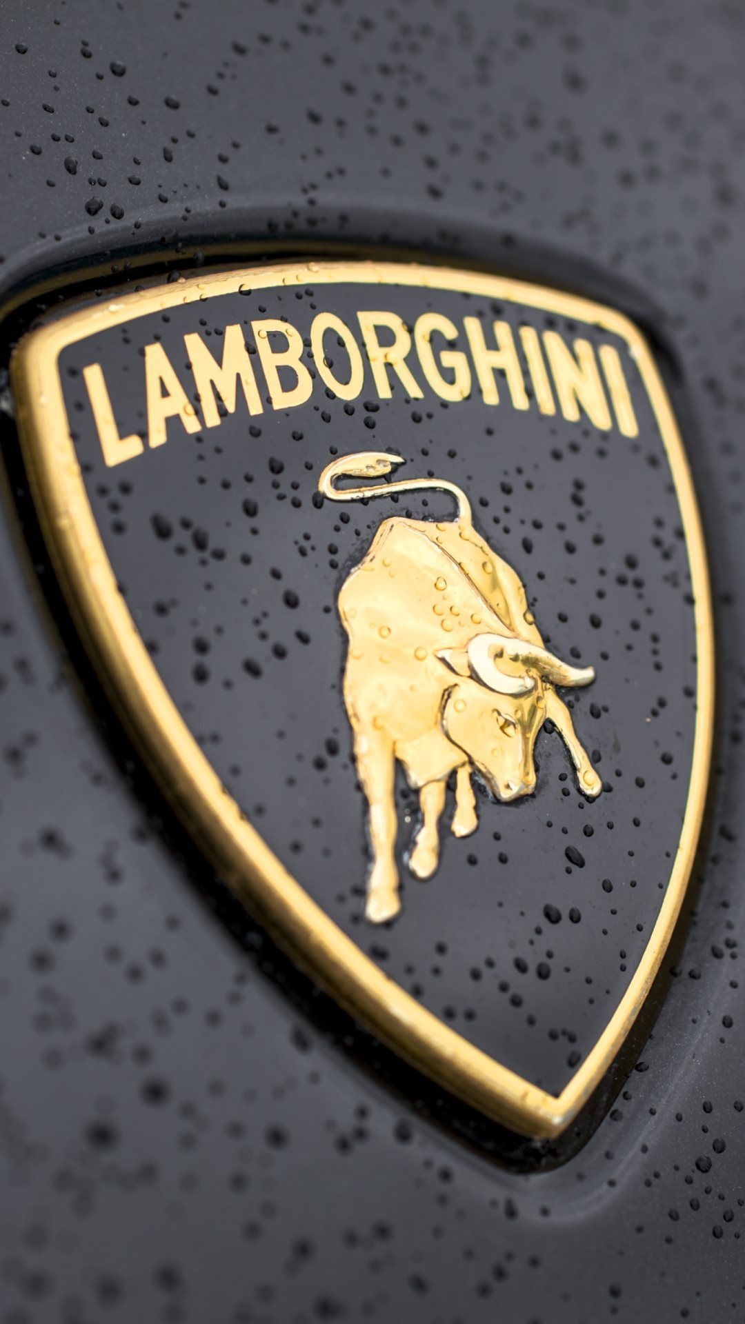 Lamborghini Logo Wallpaper