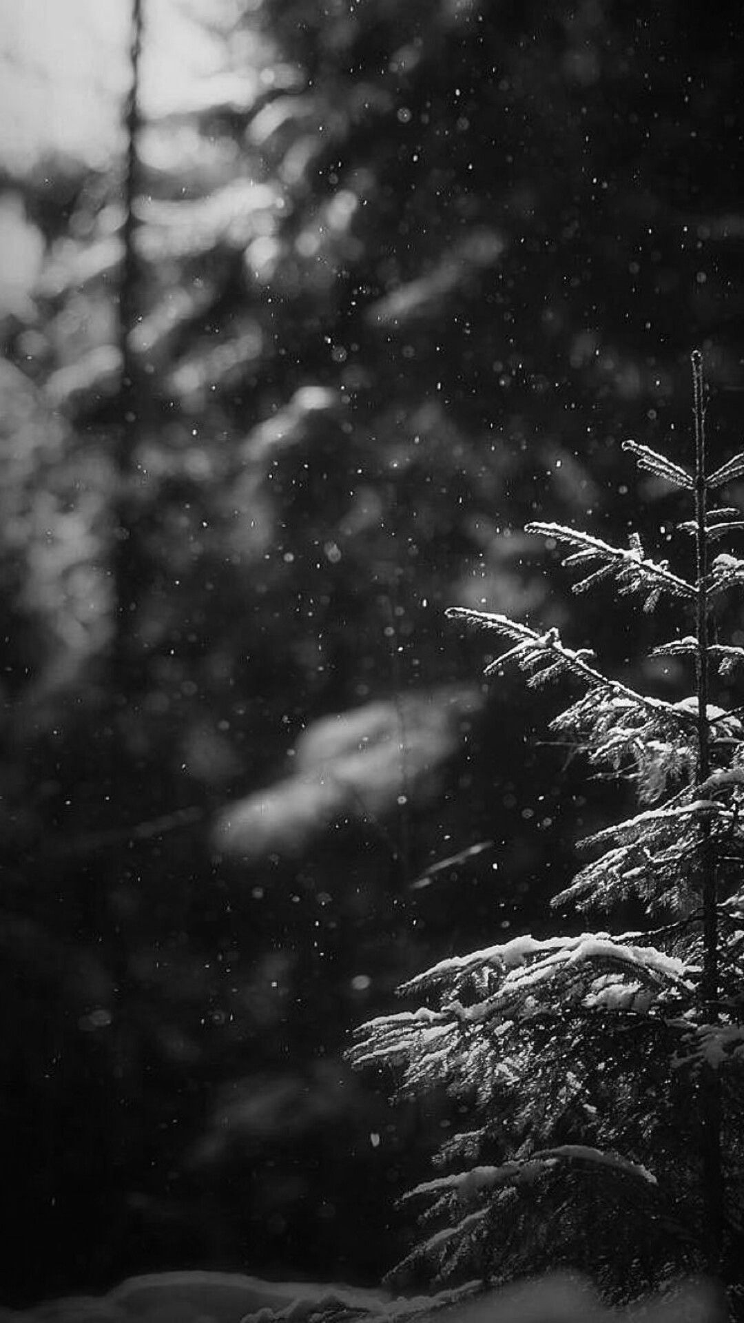 FREE Winter iPhone Wallpaper (Cozy & Aesthetic)