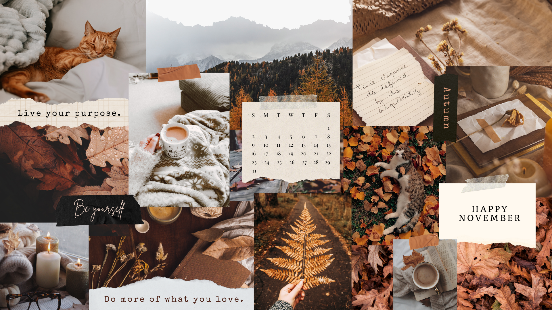 Free November 2025 Desktop Calendar Background (EASY DOWNLOAD)