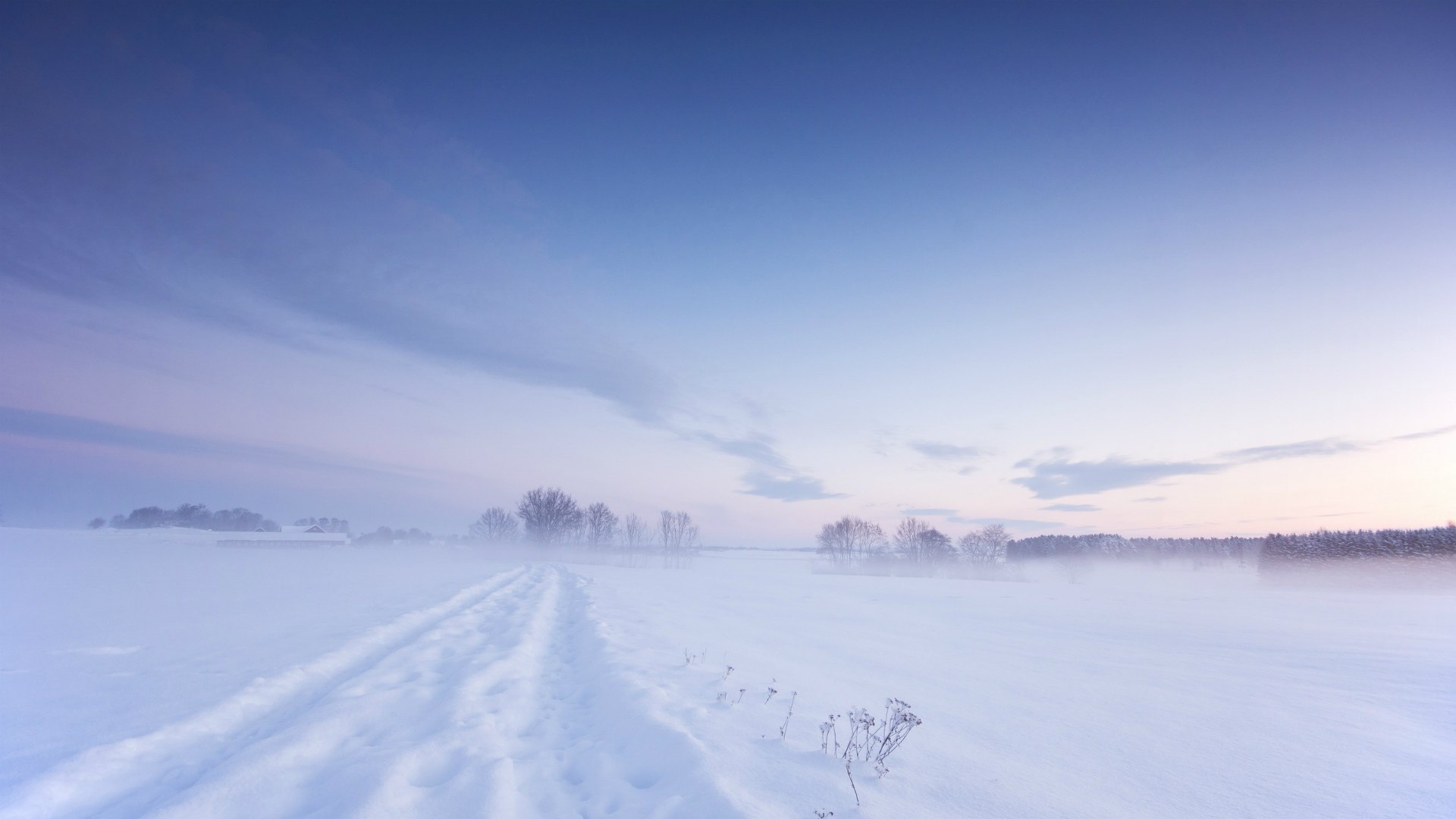 White winter in Sweden Desktop wallpaper 1920x1080