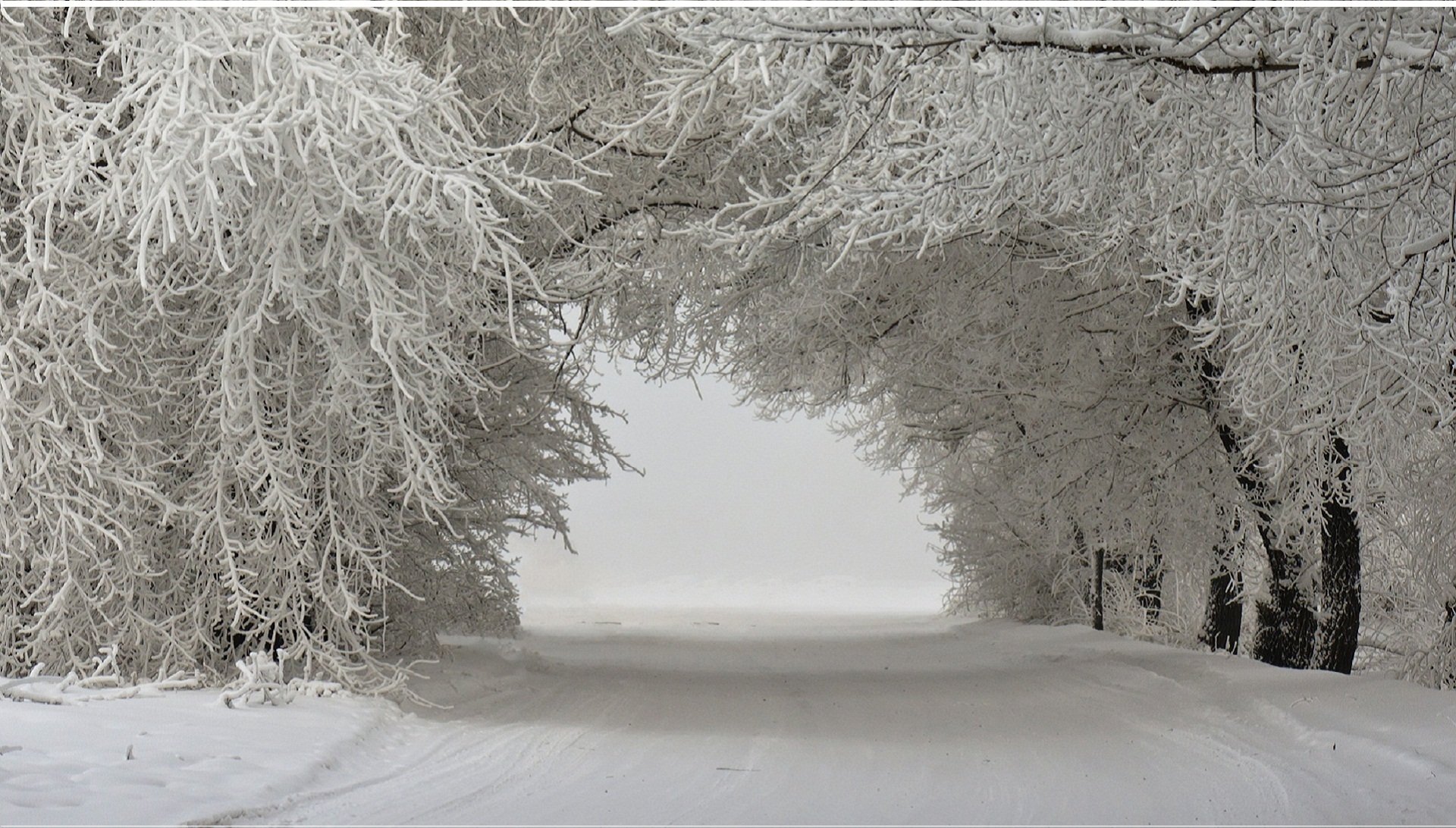 Frosty Gateway: Winter Nature HD Wallpaper
