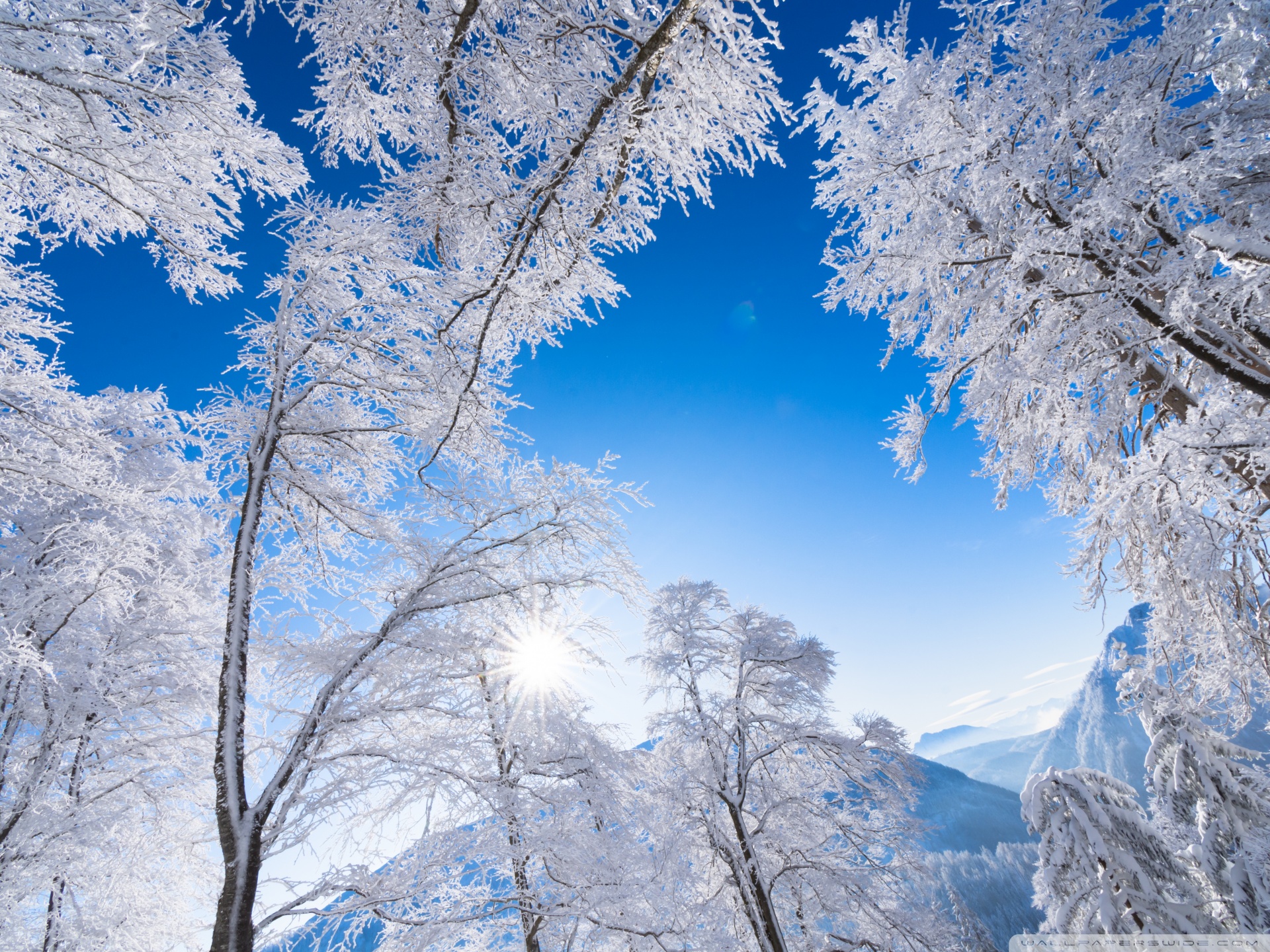 White Winter Mountain Forest 4K UHD Wallpaper for UltraHD Desktop and TV, Widescreen and UltraWide Display, Smartphone and Tablet Devices