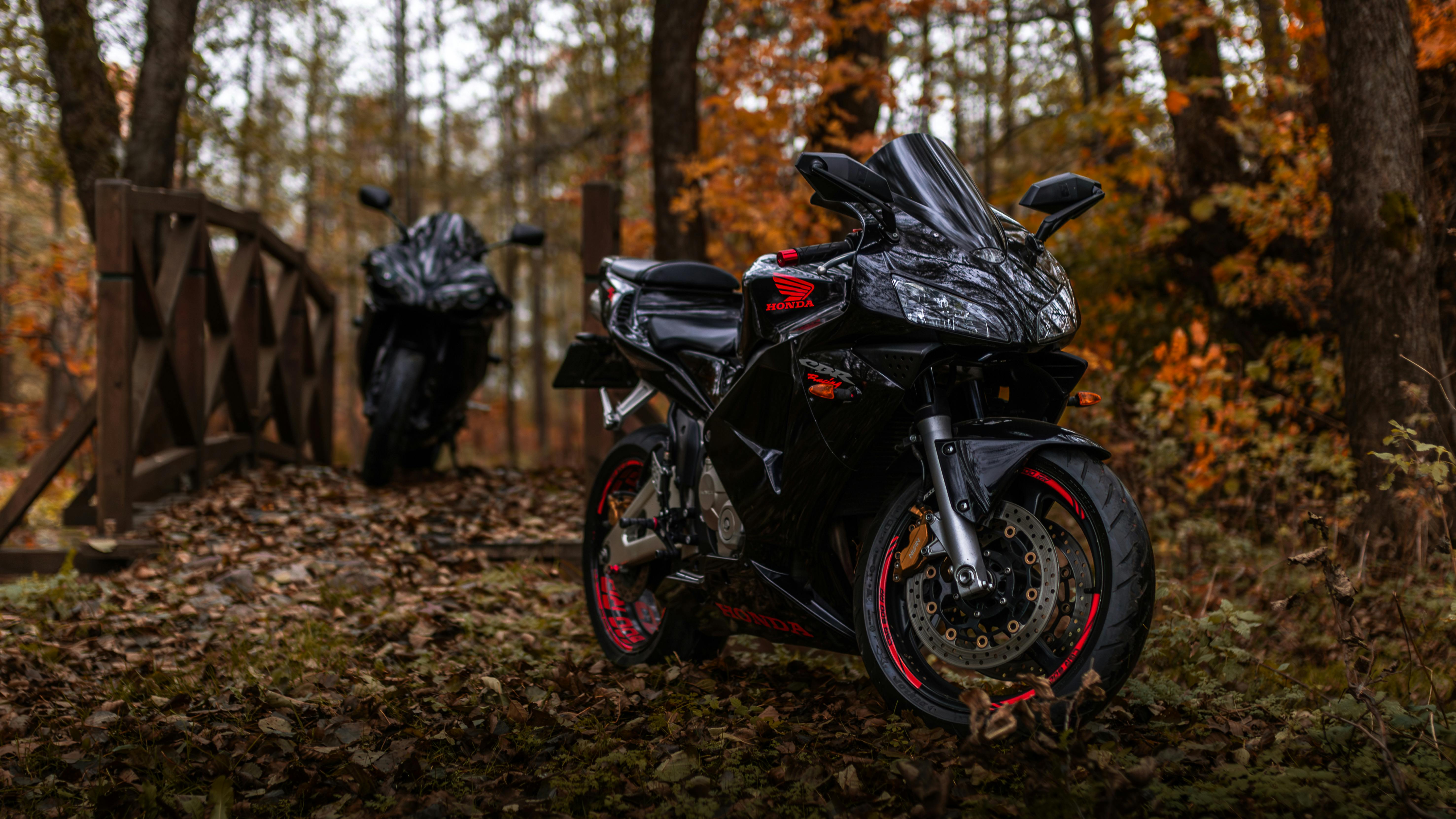 Honda Motorcycles in Forest · Free