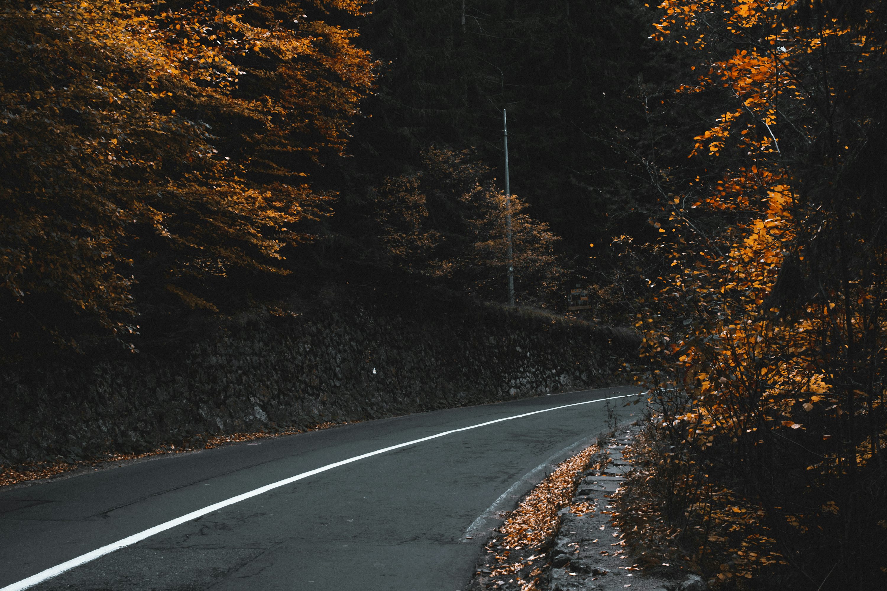 Autumn Road Picture. Download Free Image