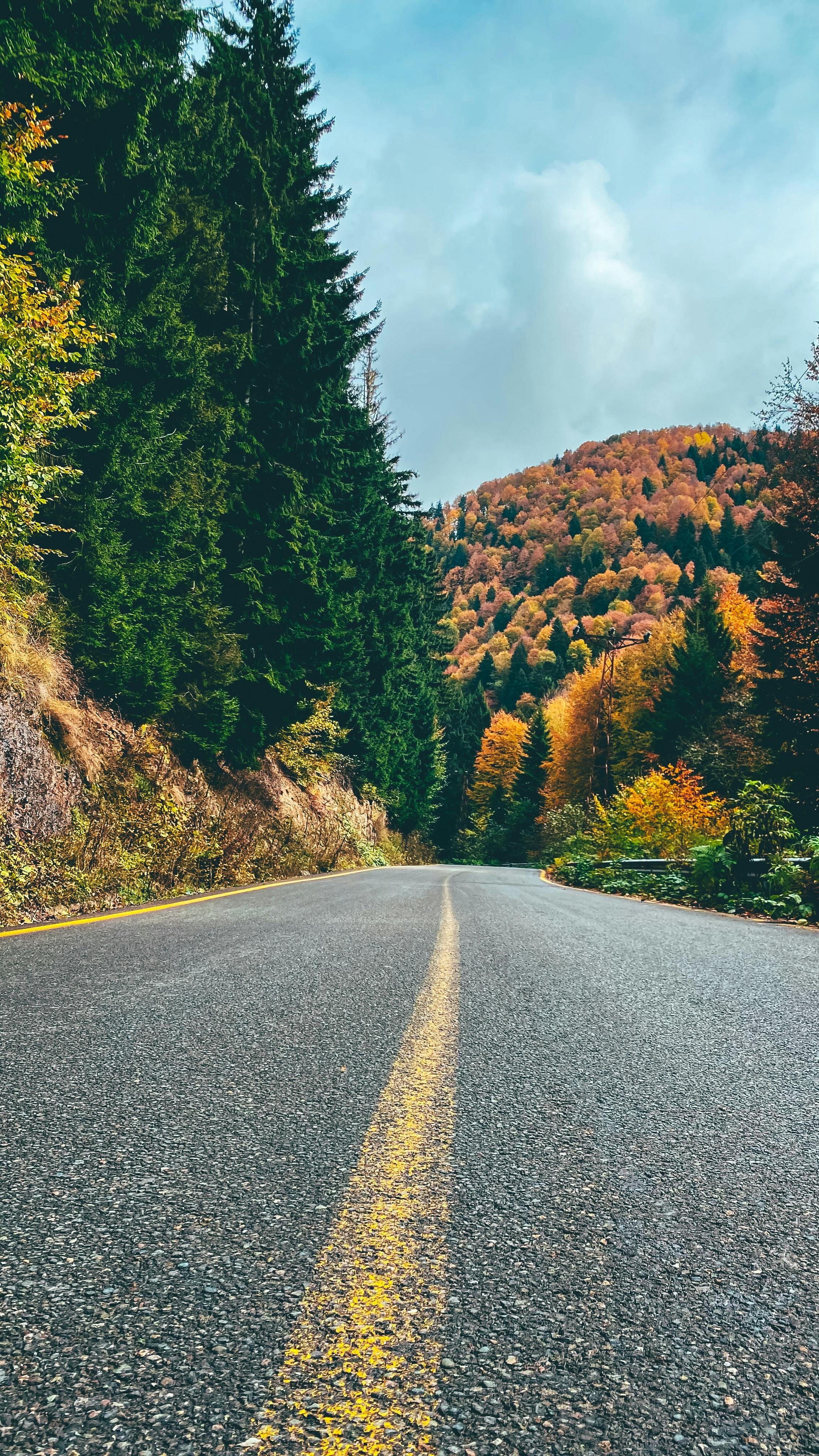 Road Near Mountain with Trees · Free