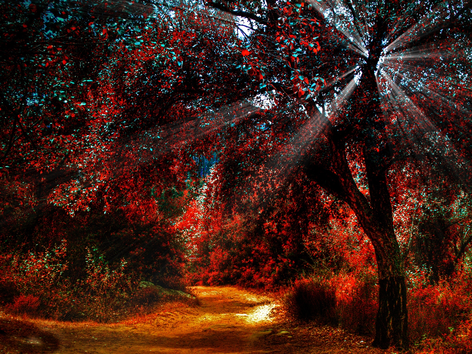 Fall Light Landscape Wallpaper​-Quality Free Image and Transparent PNG Clipart