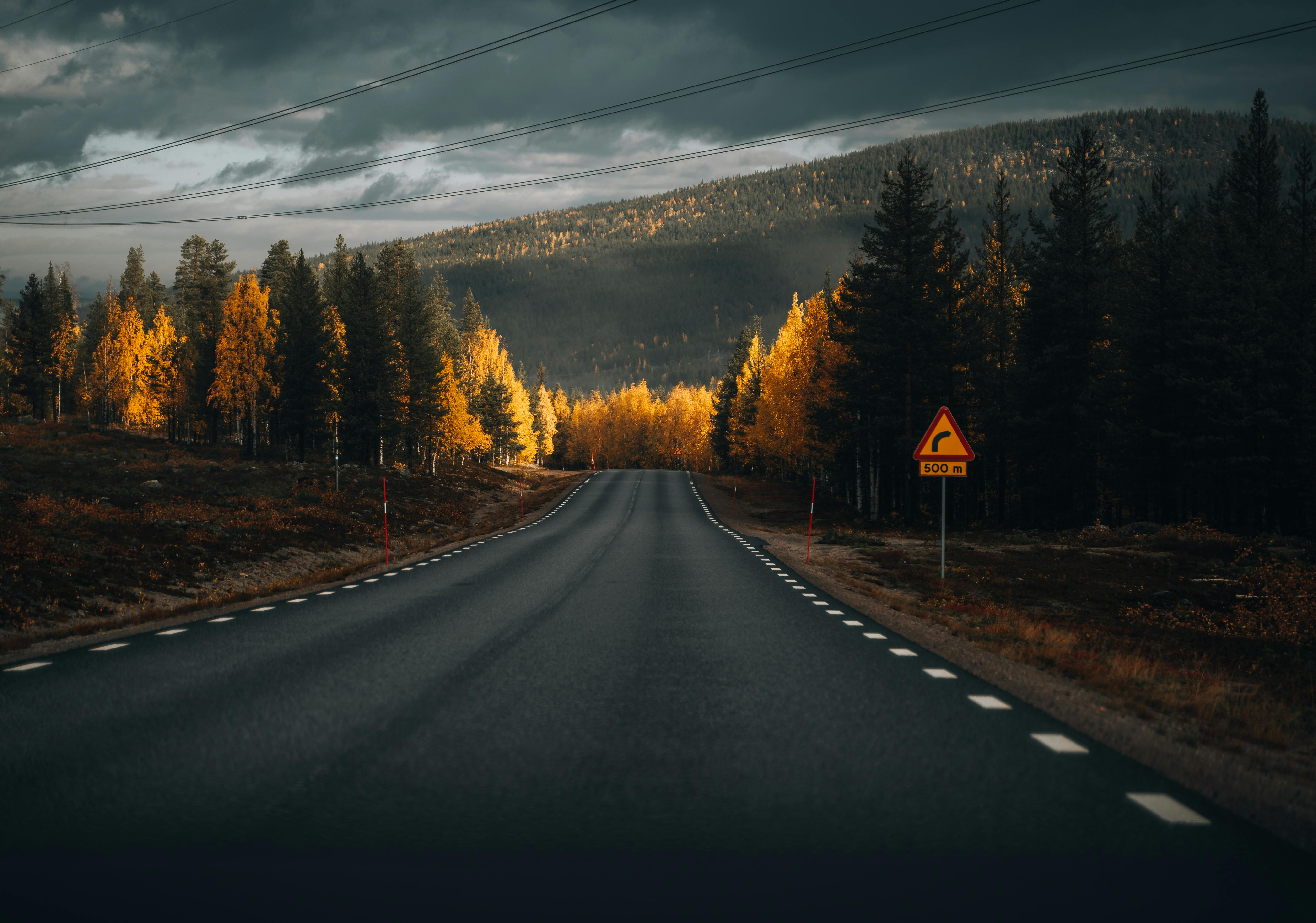 Highway and Autumn Forest · Free
