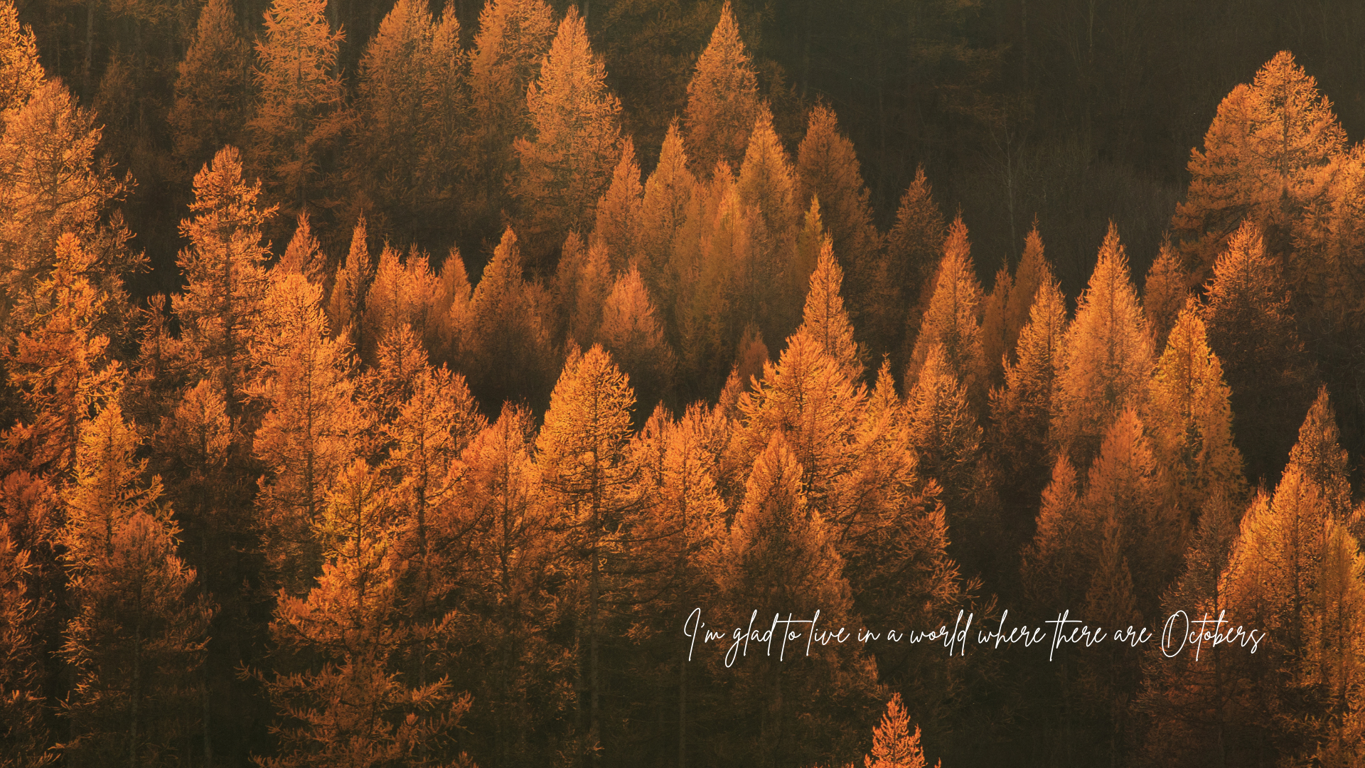 FREE Aesthetic Fall Wallpaper iPhone and Desktop