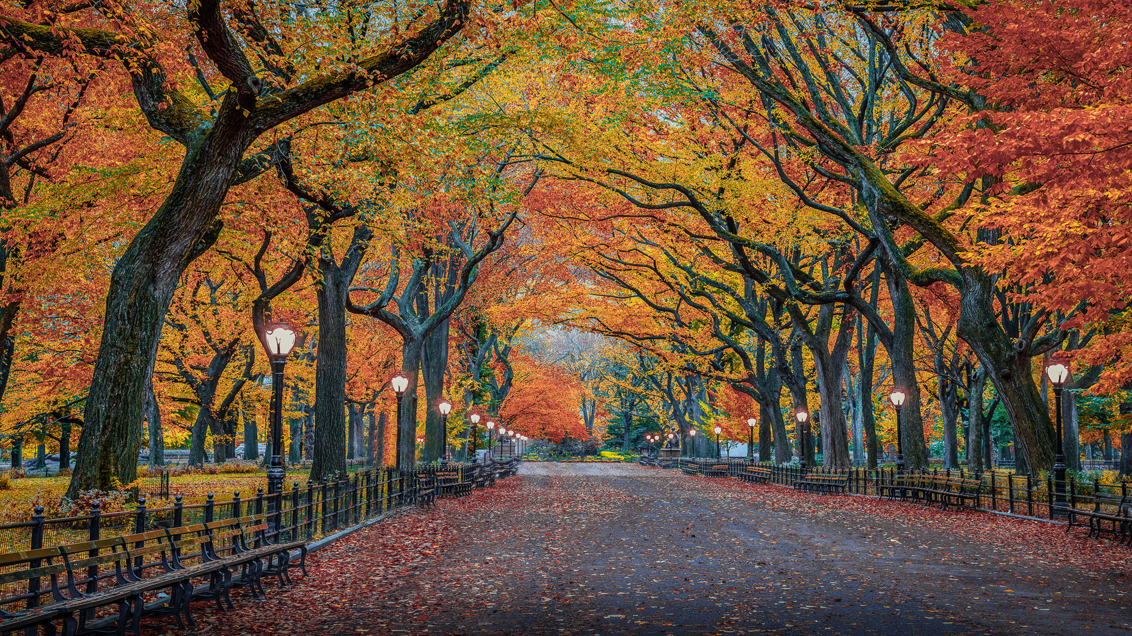 Road With Leaves Between Autumn Yellow Red Trees In Herbst Park New York City 4K HD Nature Wallpaper