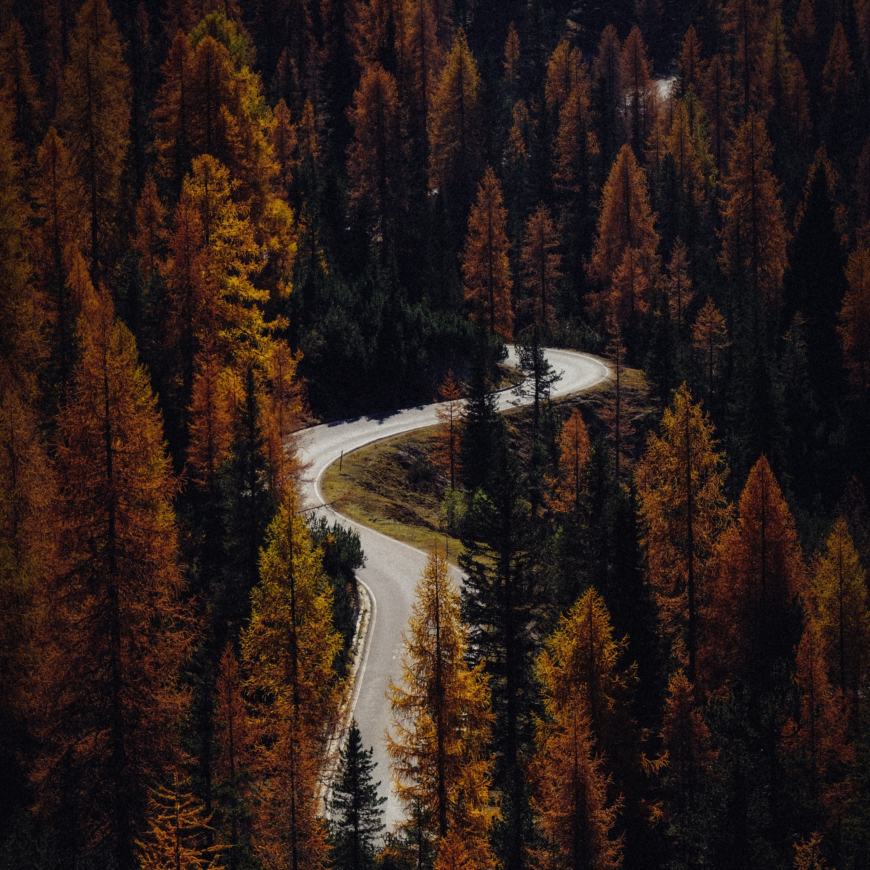 Free download. HD PNG road forest autumn aerial view trees 4k wallpaper