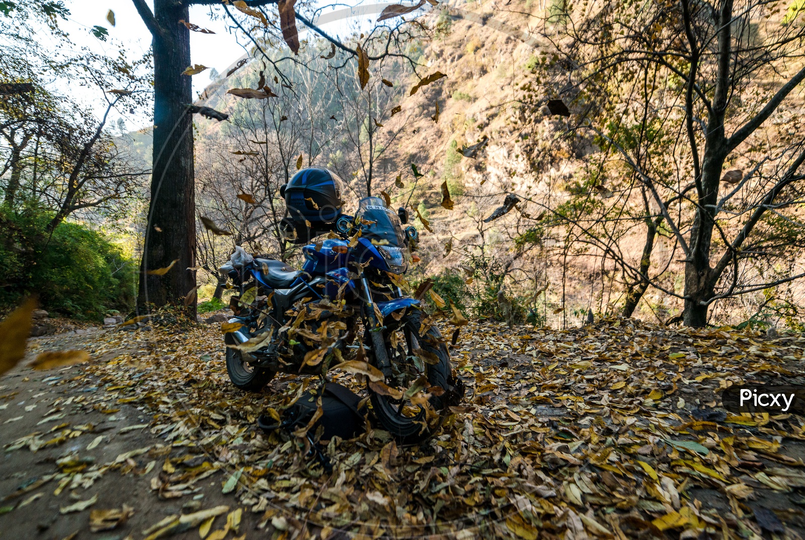 Image Of Motorcycle In Autumn Season With Leaves On Road XQ659097 Picxy