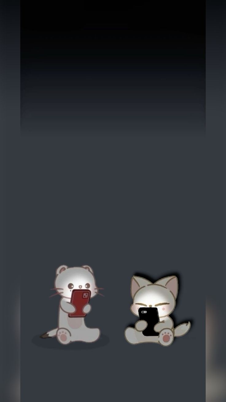 Skzoo Jiniret and Fox.NY home screen wallpaper background