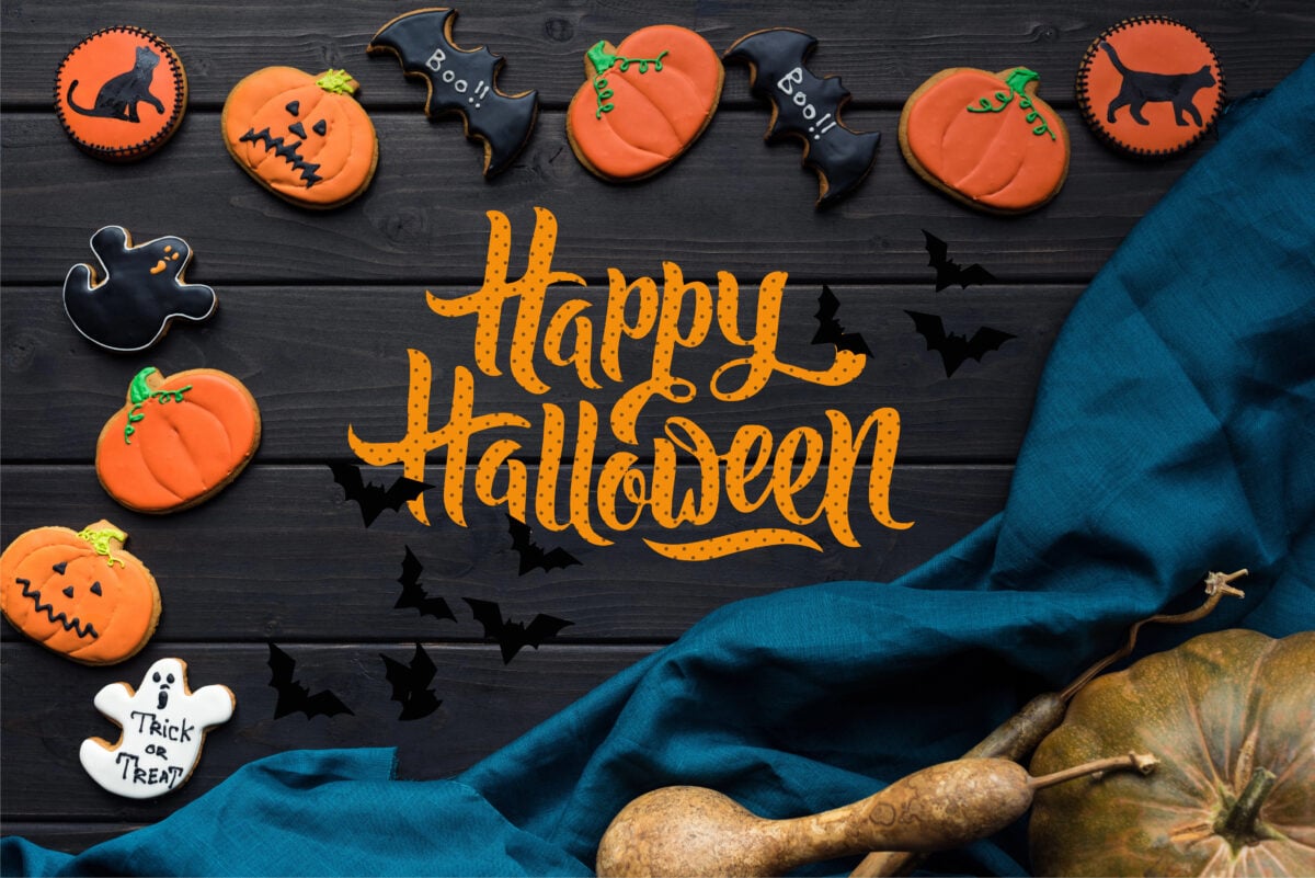 Halloween Happenings In Winston Salem For Young And Old. My Winston Salem