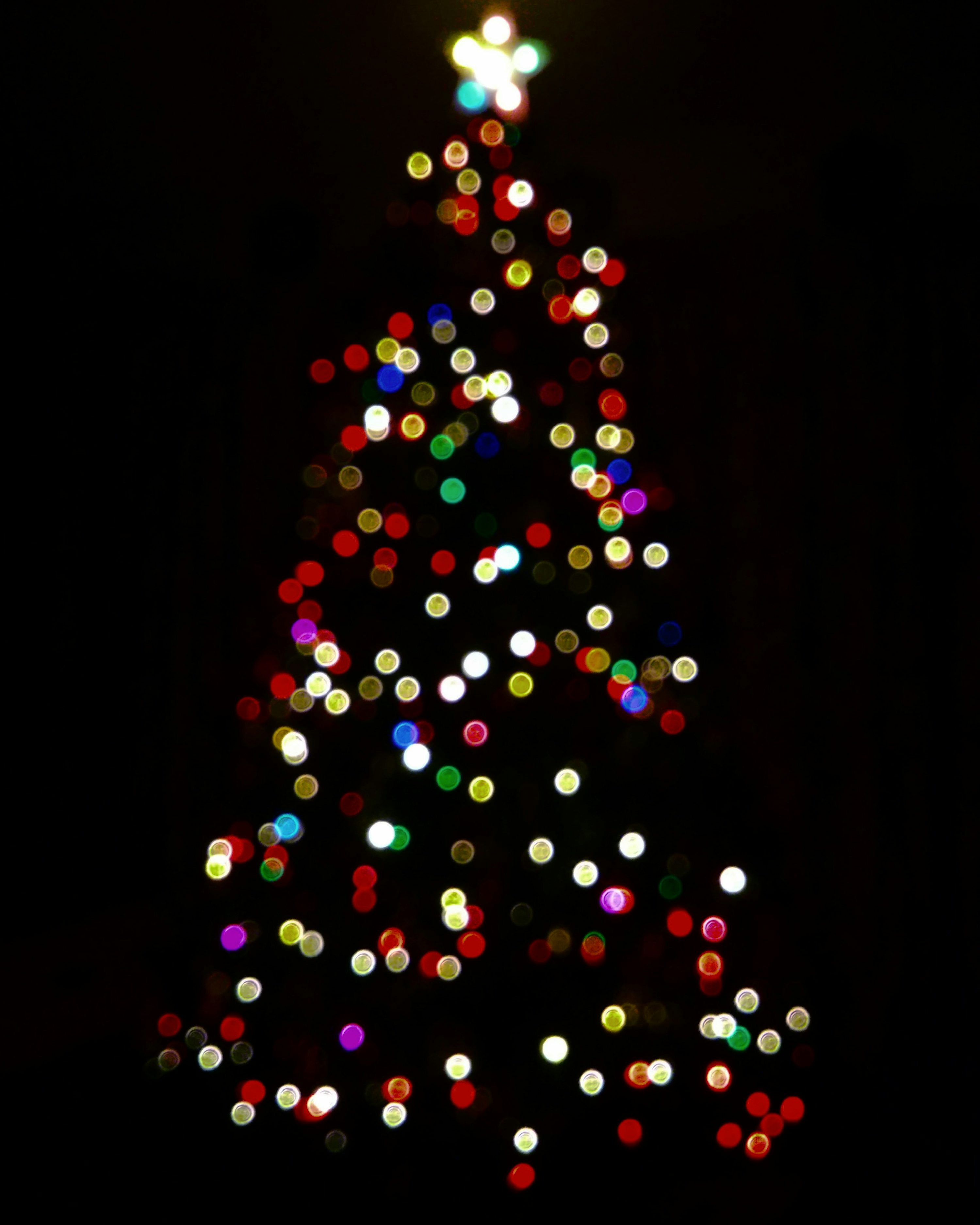 Multicolored lighted Christmas tree photo