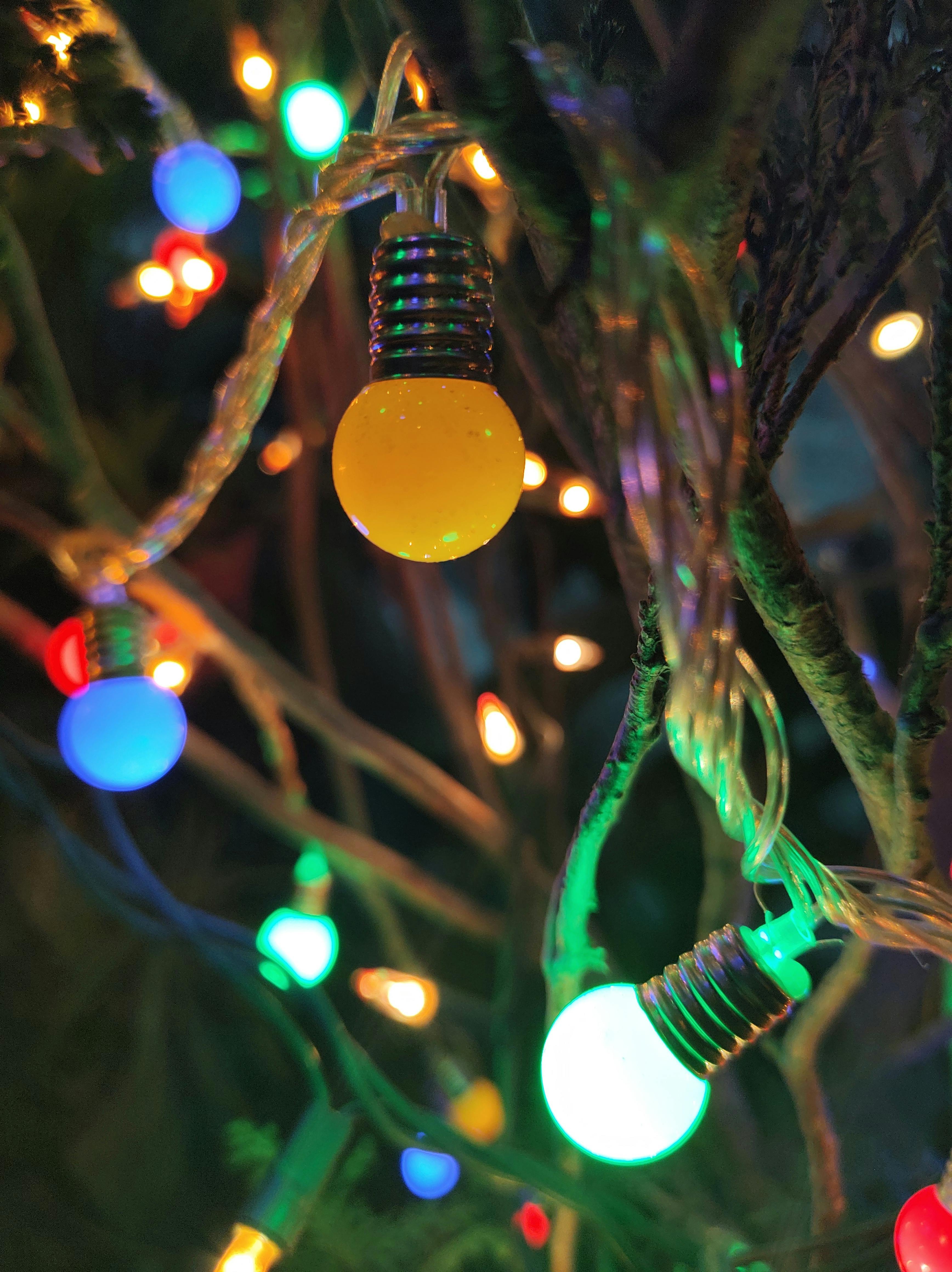 Close Up Shot Of Christmas Lights · Free