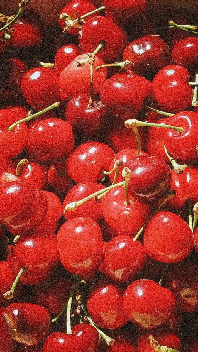 Cherry Aesthetic Wallpaper