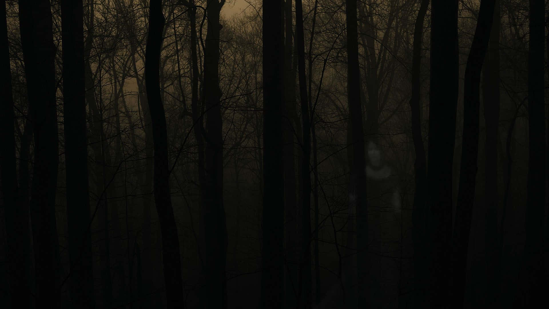 Download “The Spooky Woodlands of Haunted Forests” Wallpaper
