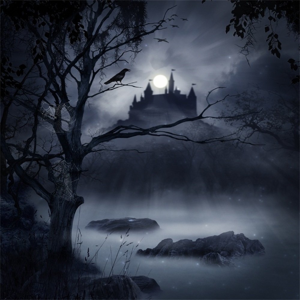Amazon.com, Laeacco Halloween Theme Backdrop 10x10ft Moonlight Foggy Wood Creepy River Haunted Castle Photography Background Ghastly Tree Cobweb Horror Night Halloween Party Banner Trick Or Treat Decoration