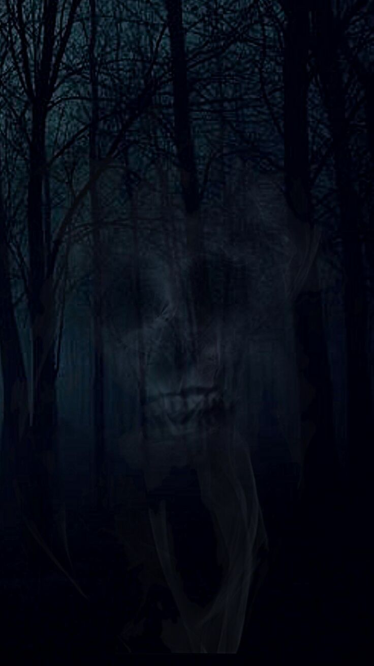 Poster background design. Scary background, Scary wallpaper, Scary woods
