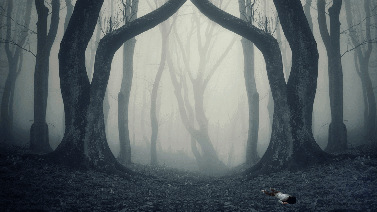 Creepy Woods Montage