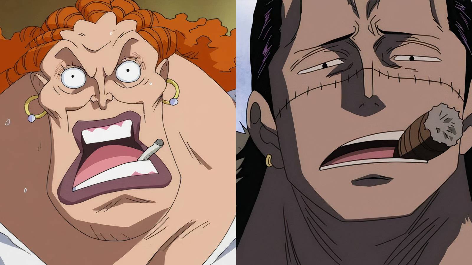 One Piece: Who Is Luffy's Mom, Explained