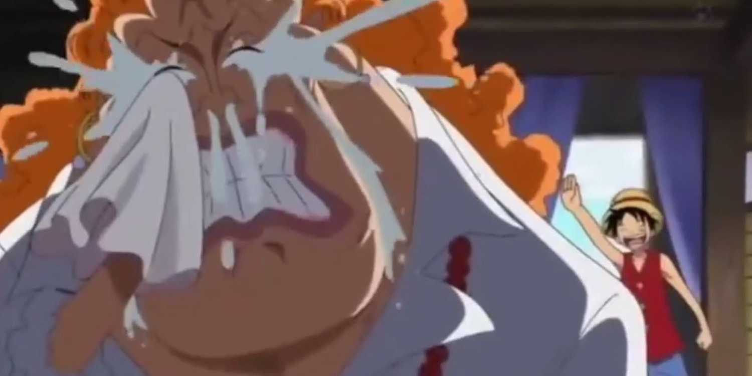 One Piece: Luffy's Most Important Relationships, Ranked