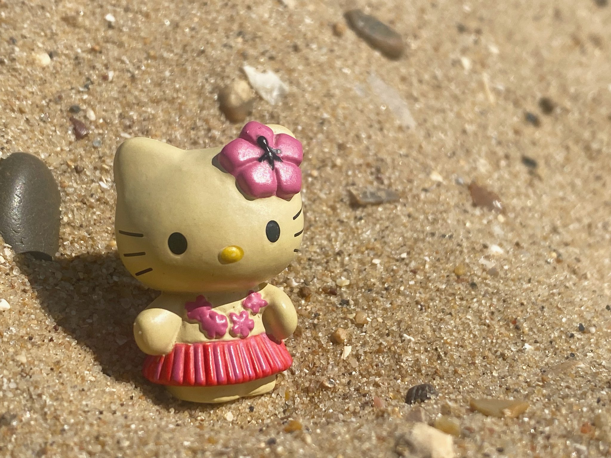sanrio daily ✨ kitty at the beach