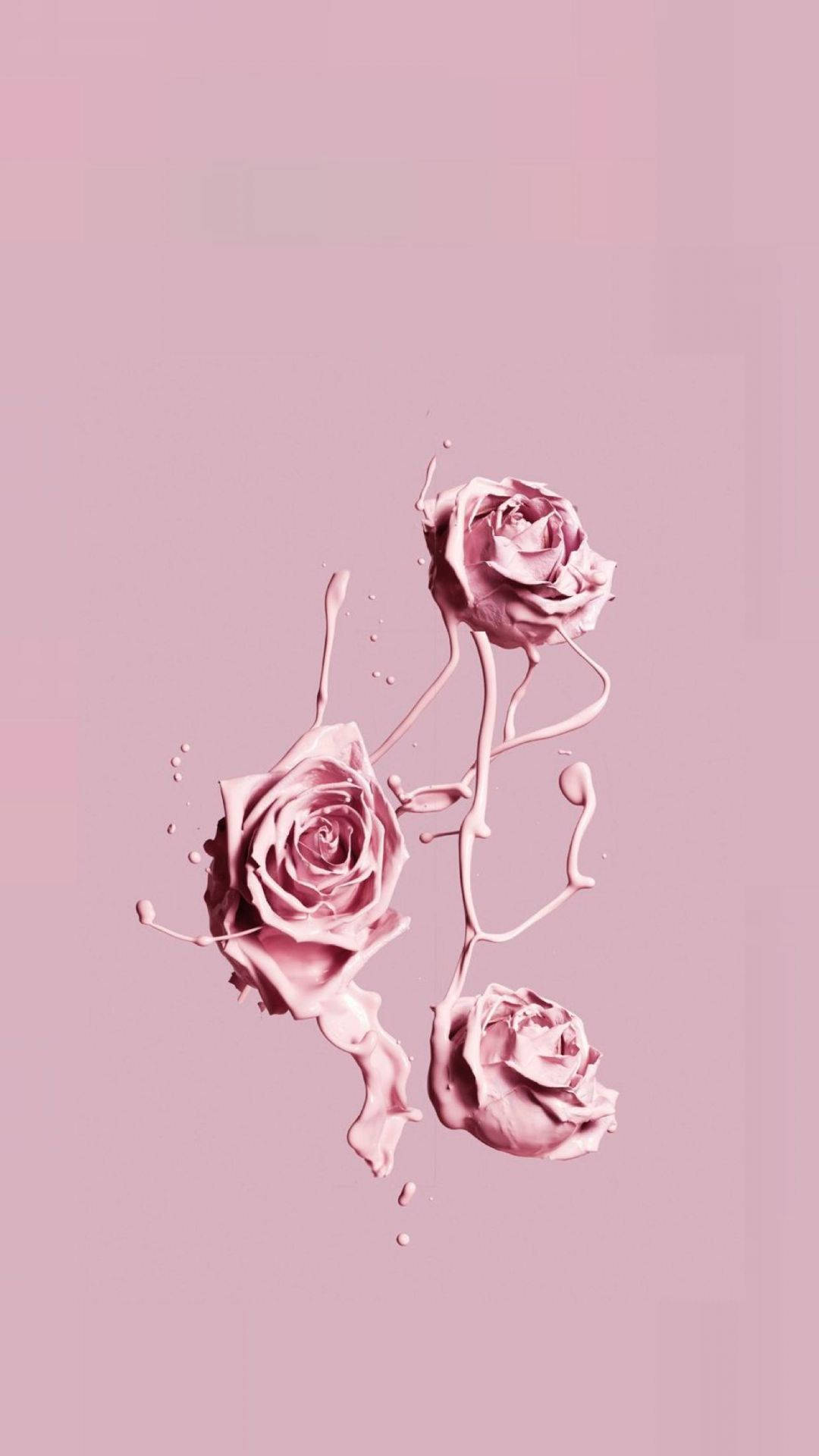 Download Pink iPhone Xr Aethetic Roses Wallpaper