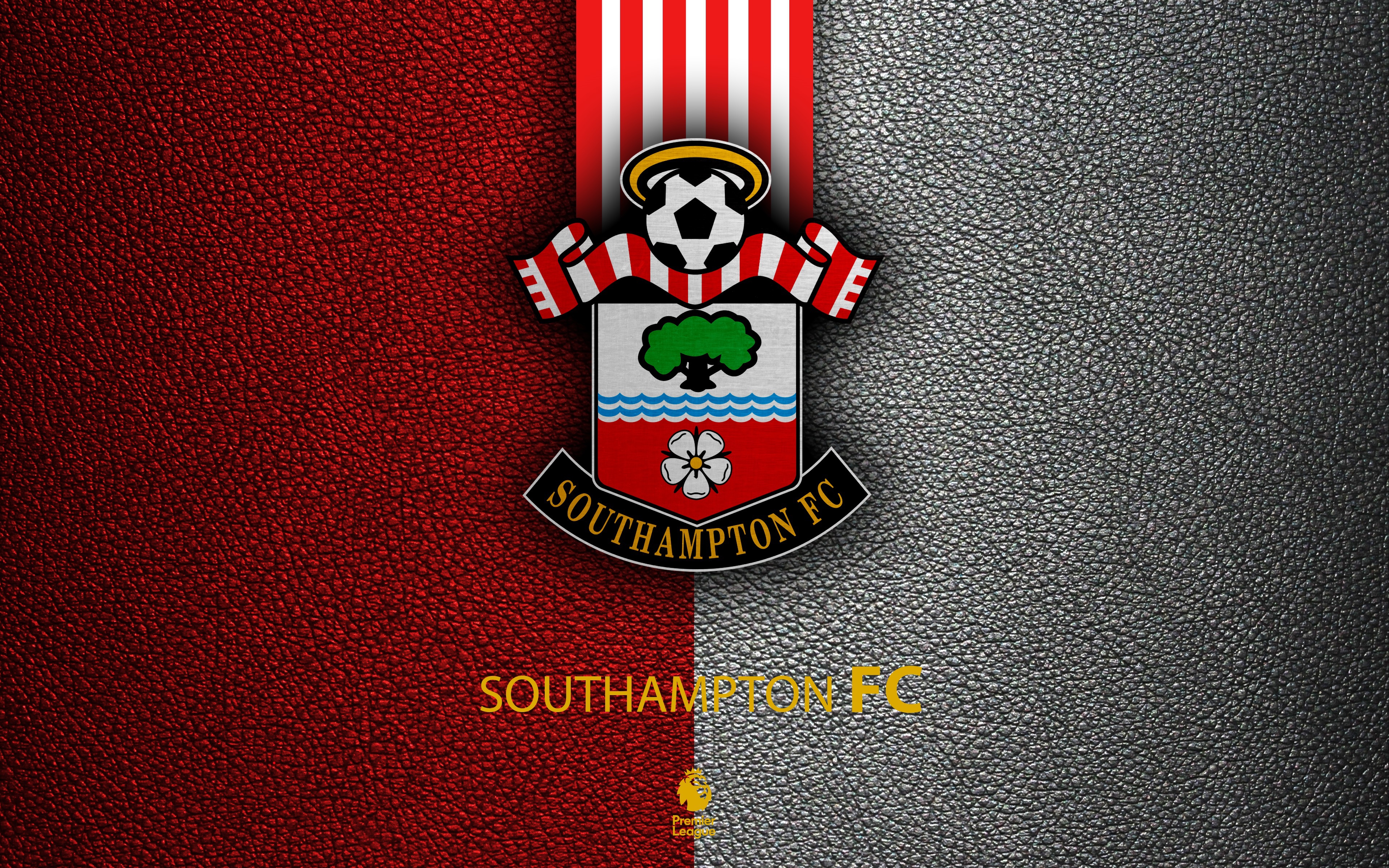 Wallpaper wallpaper, logo, football, Sport, English Premier League, Southampton for mobile and desktop, section спорт, resolution 3840x2400
