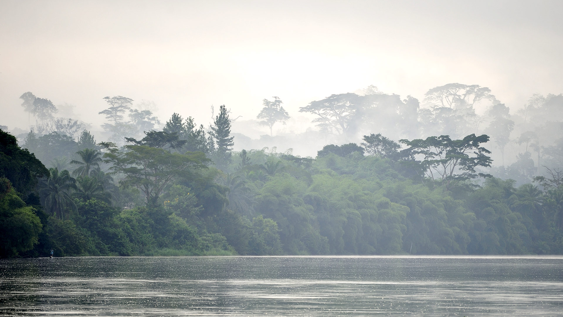 Central African Republic