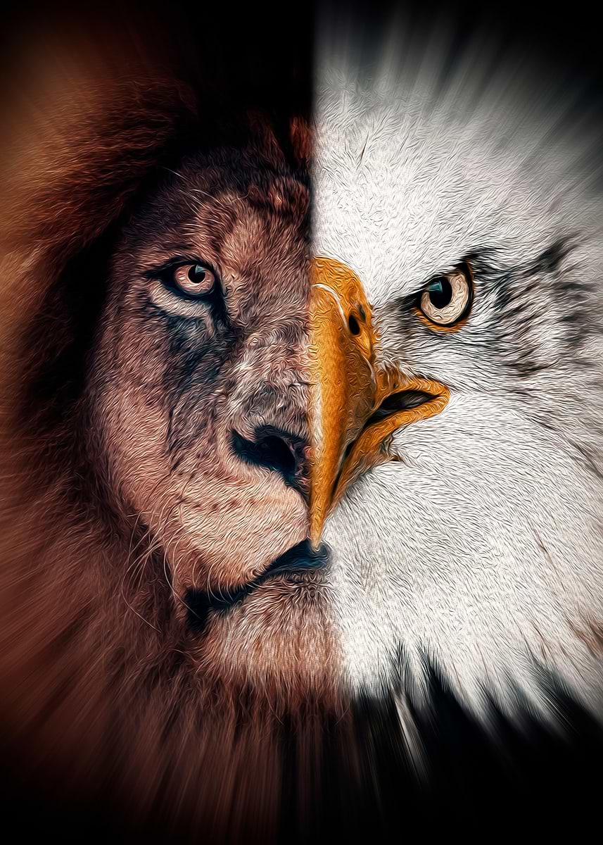 half lion half eagle paint