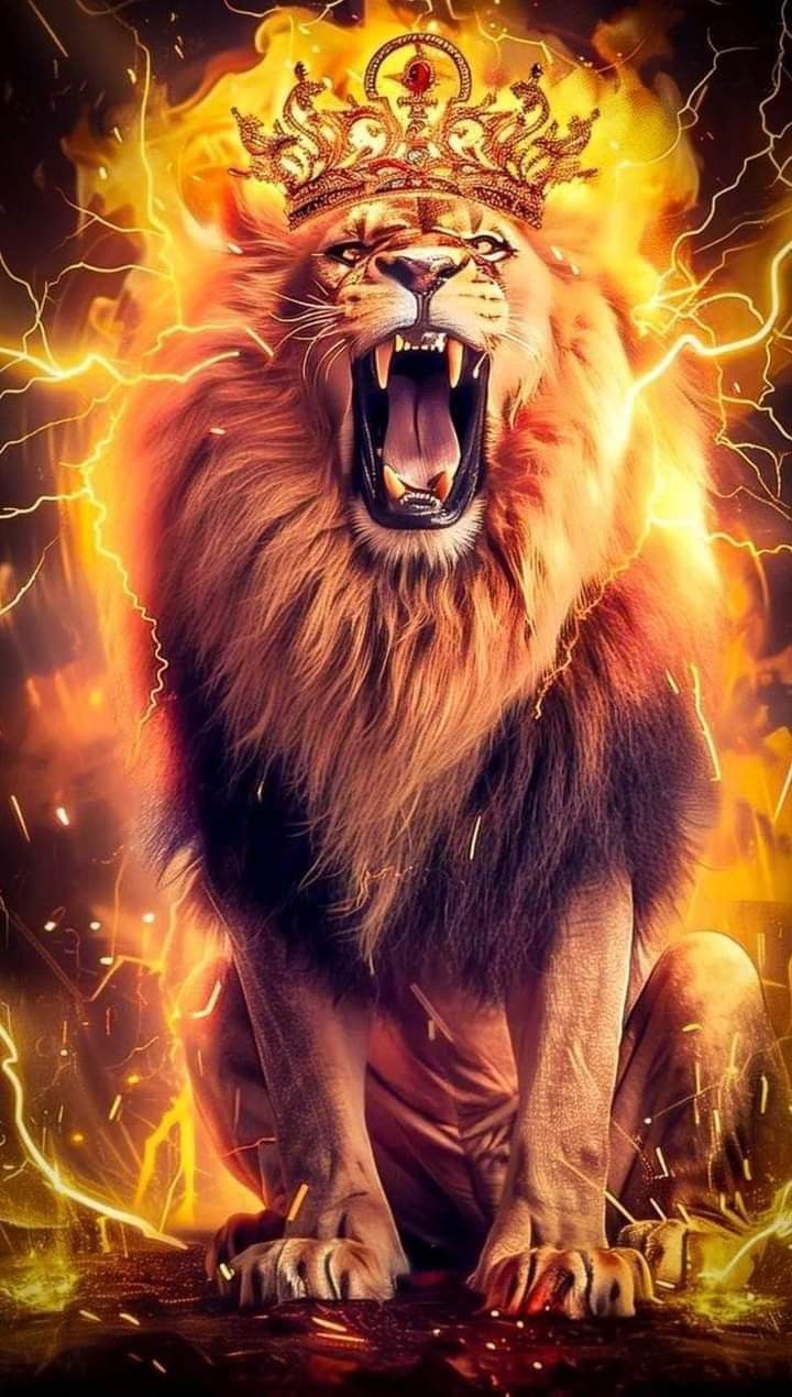 Leo. Lion artwork, Lion live wallpaper, Lion photography