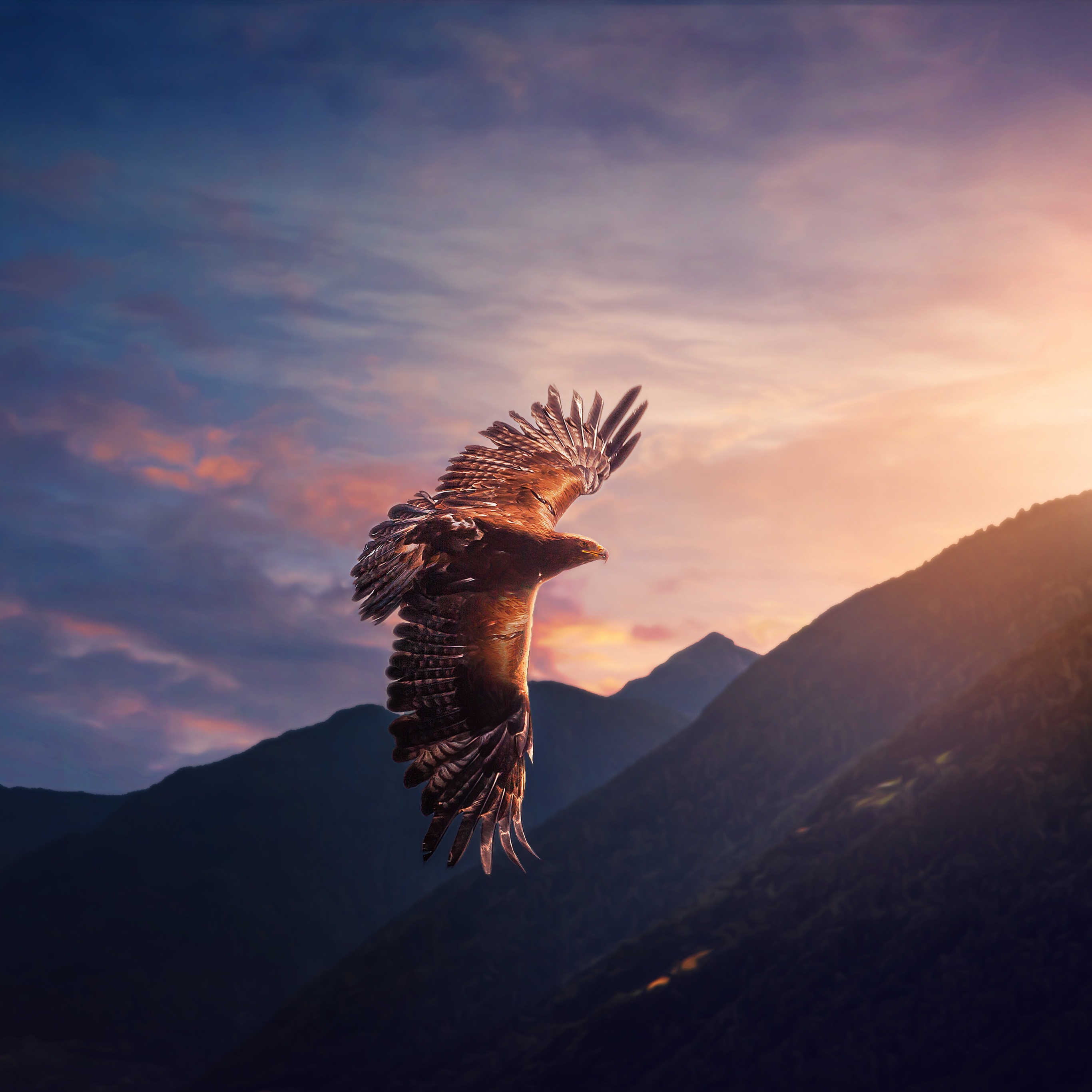 Eagle Wallpaper 4K, Sunset, Mountains, Evening sky