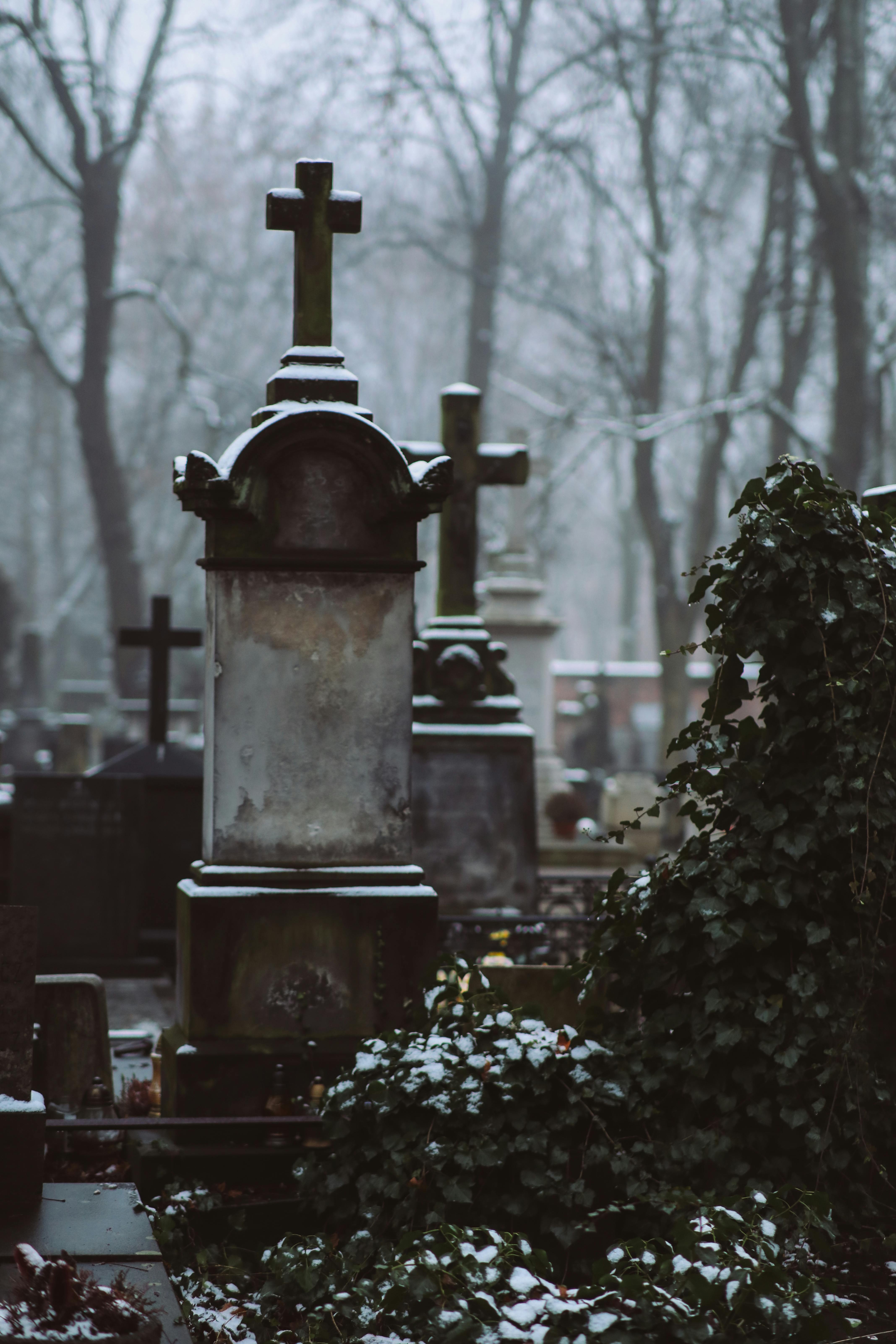 A View of the Cemetery During Winter · Free