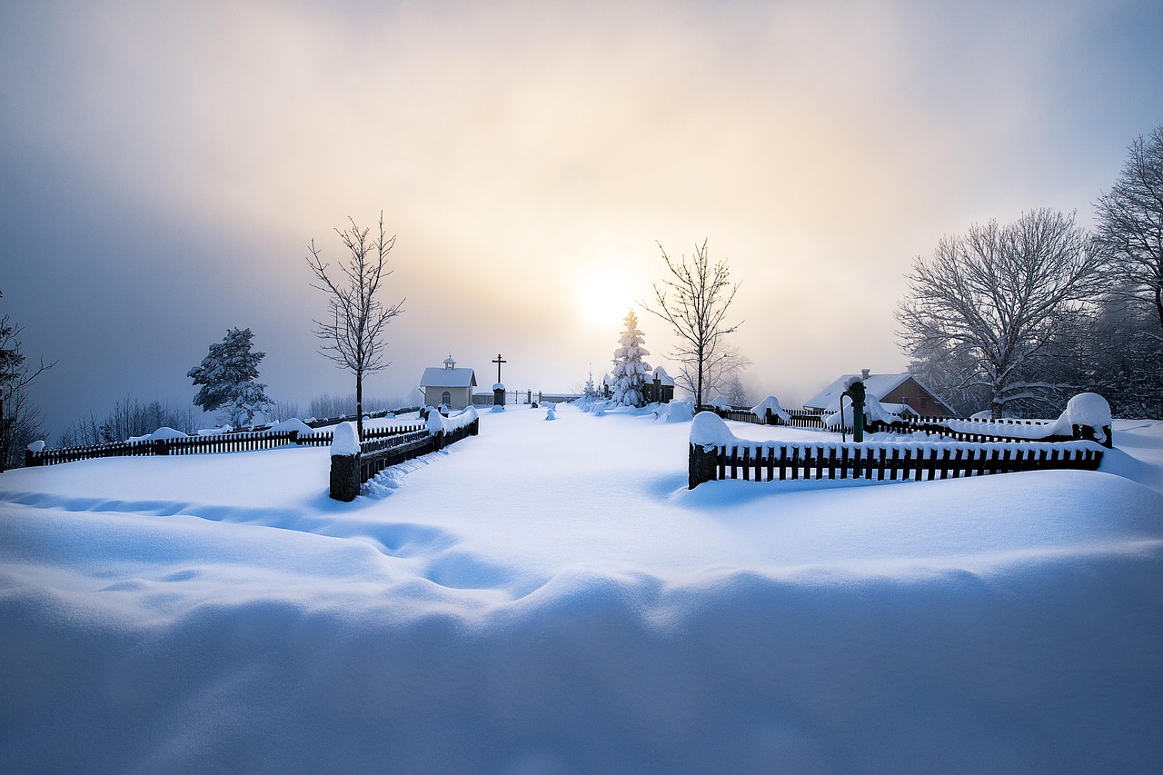 Free Winter Cemetery & Winter Image