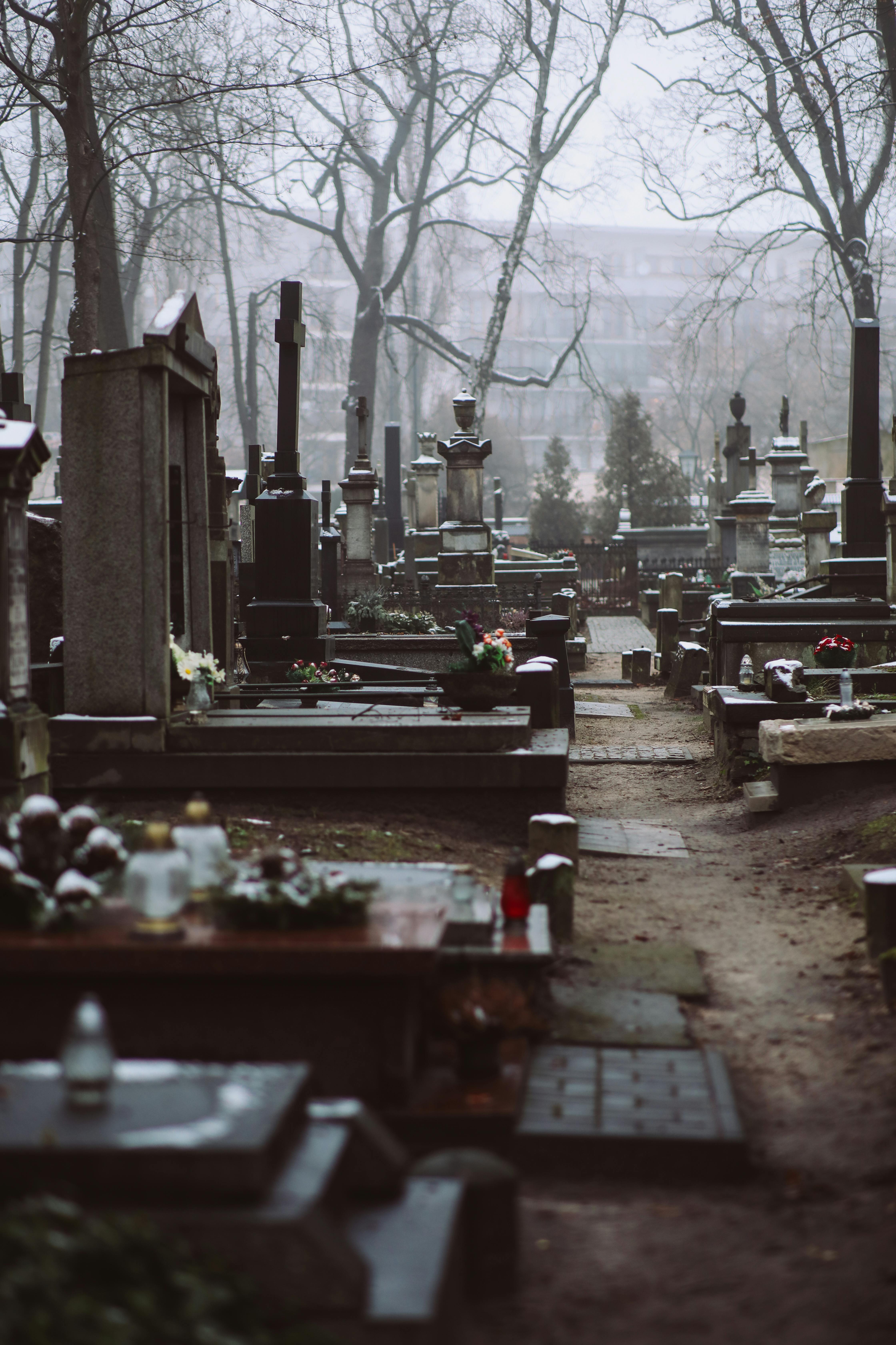 A Foggy Cemetery During Winter · Free