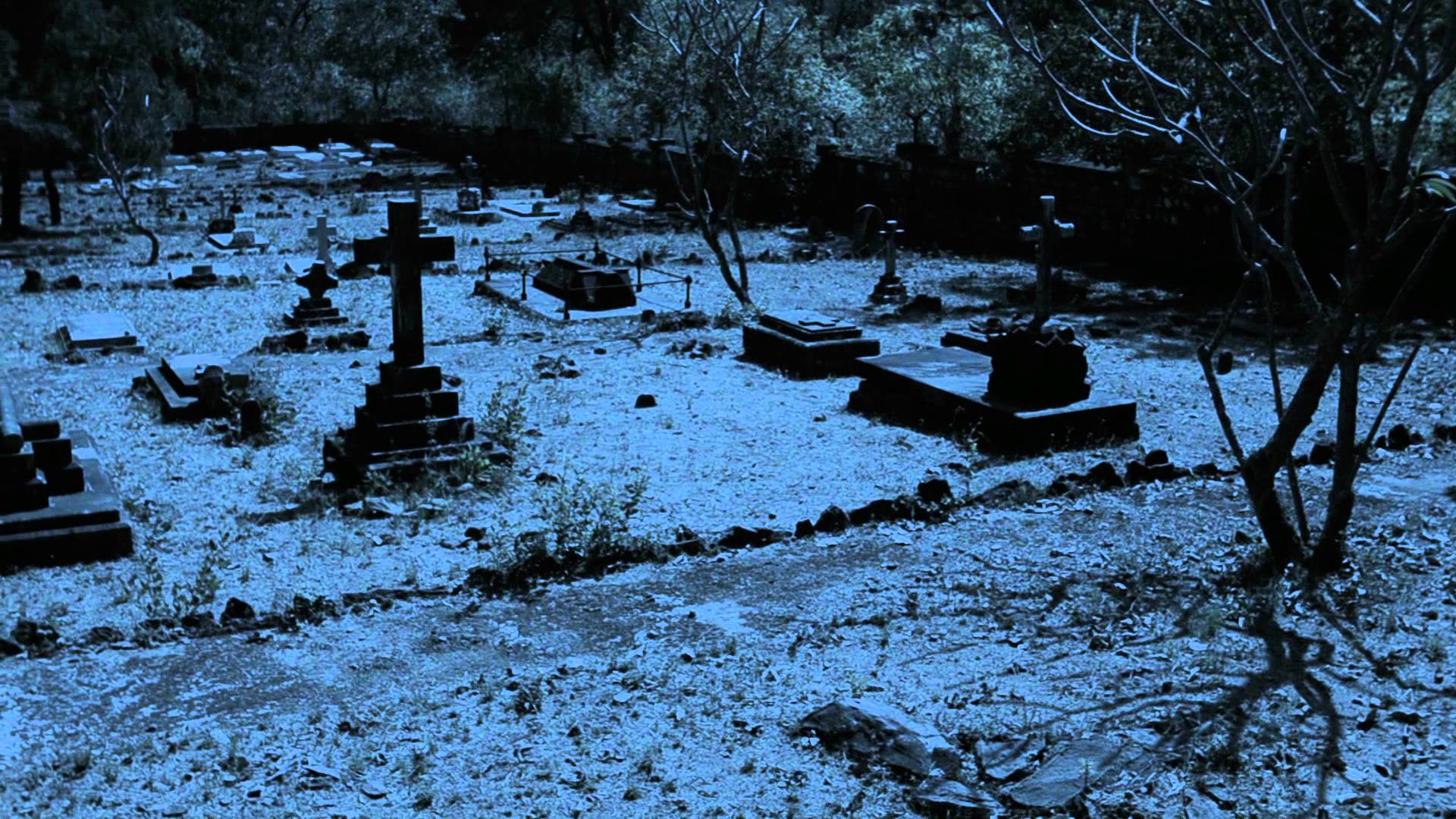Free photo: Graveyard, Fog, Grave