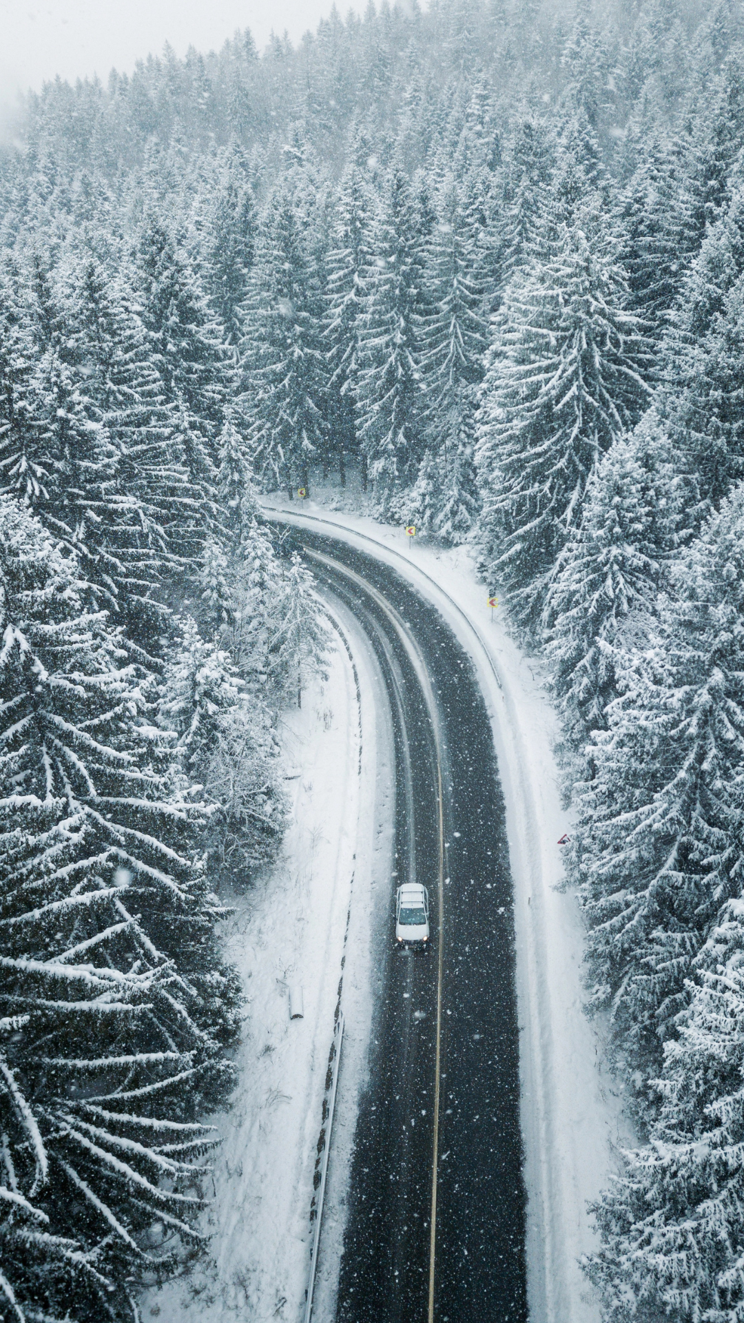 FREE Winter iPhone Wallpaper (Cozy & Aesthetic)