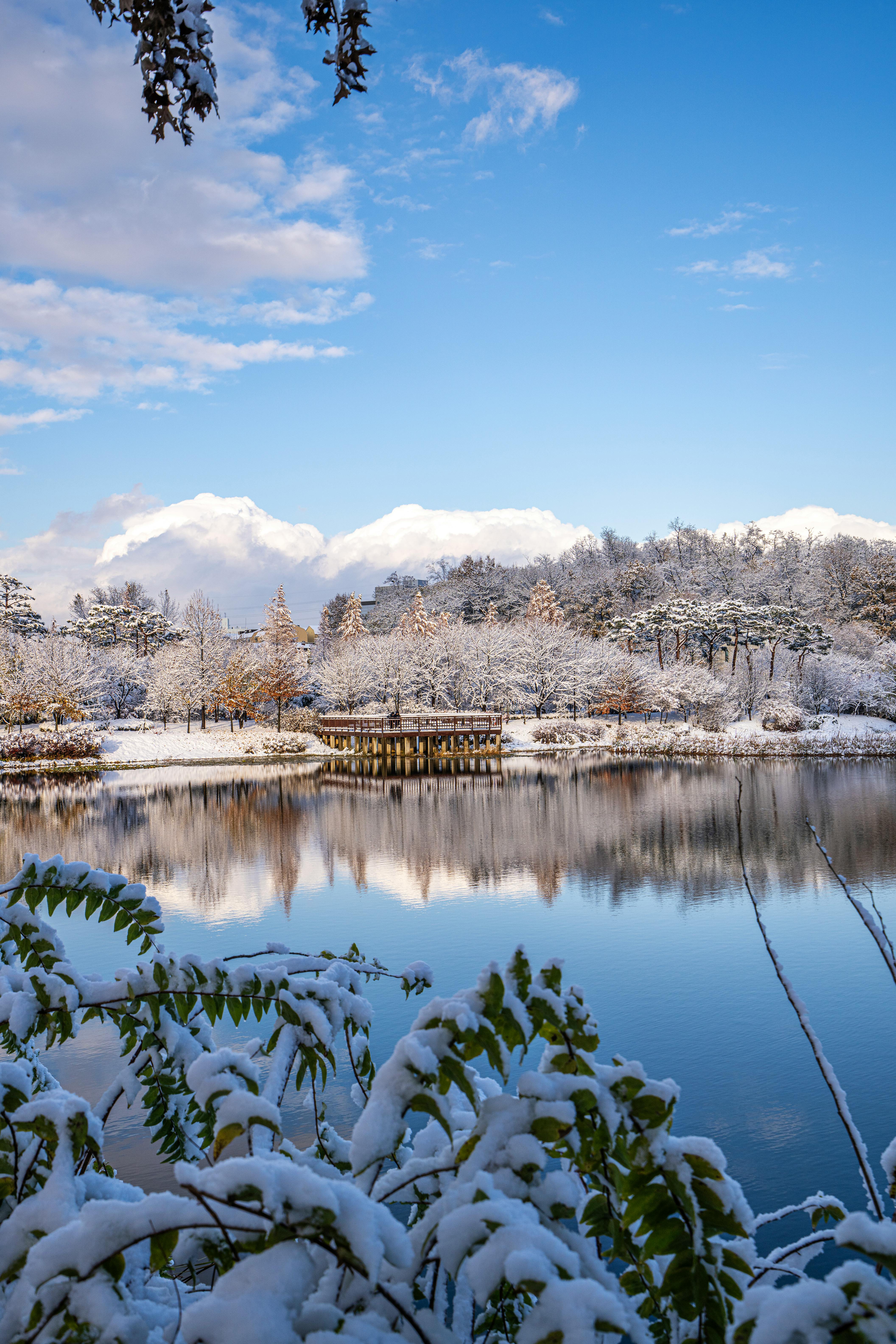 Tranquil Winter Landscape in Seoul · Free