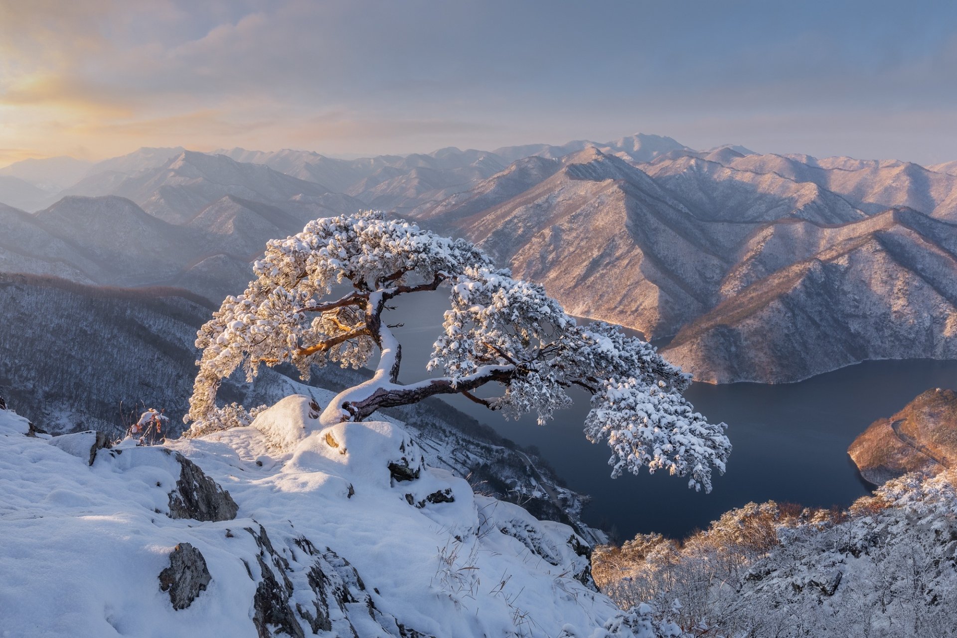 Winter Serenity: Snow Capped Tree By A South Korean Mountain River Landscape Wallpaper