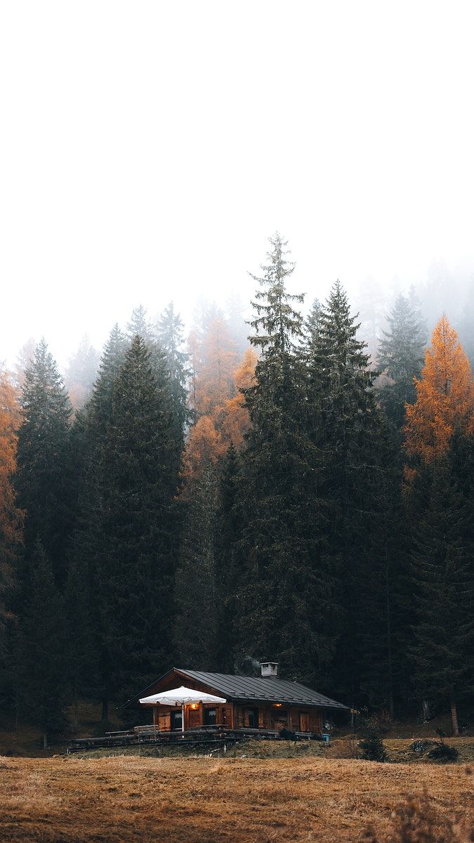 Download premium image of Cozy cottage among autumn nature mobile phone wallpaper by Luke Stackpoole about iphone wallpaper autumn, house, wallpaper forest, building background instagram story background, and wallpaper nature 2094628