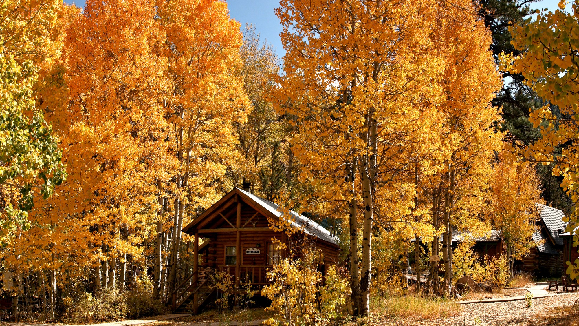 Find bliss this autumn on a cabin vacation