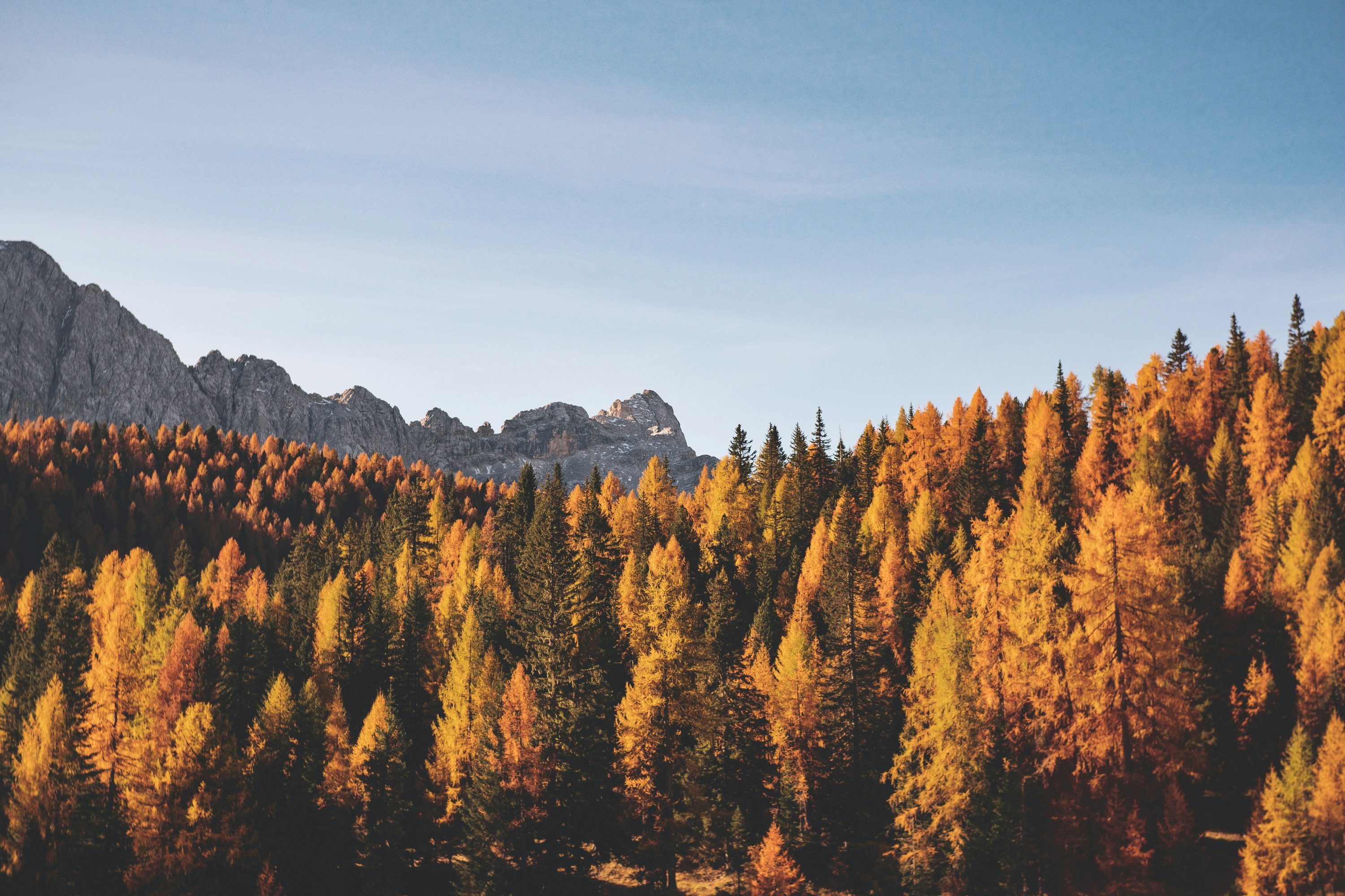Autumn Wallpaper: Free HD Download