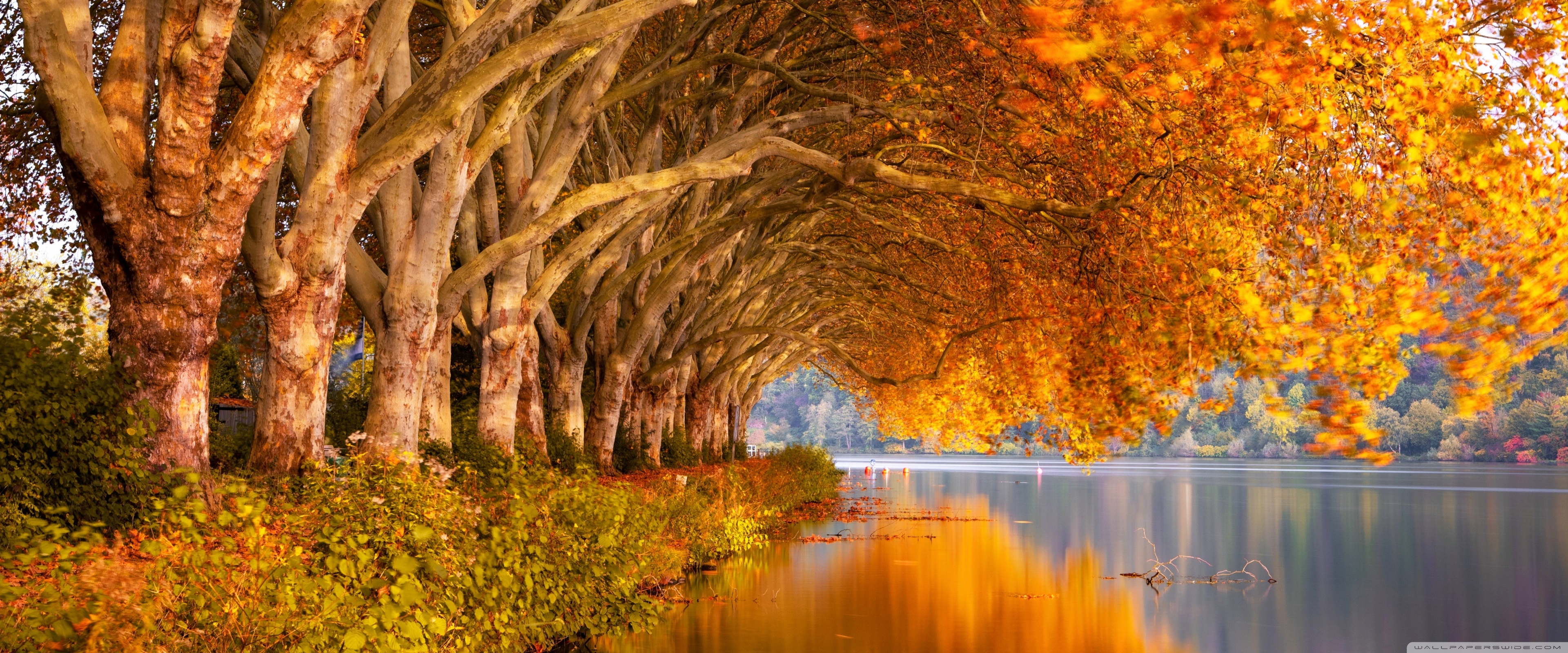 Lake, Autumn 4K UHD Wallpaper