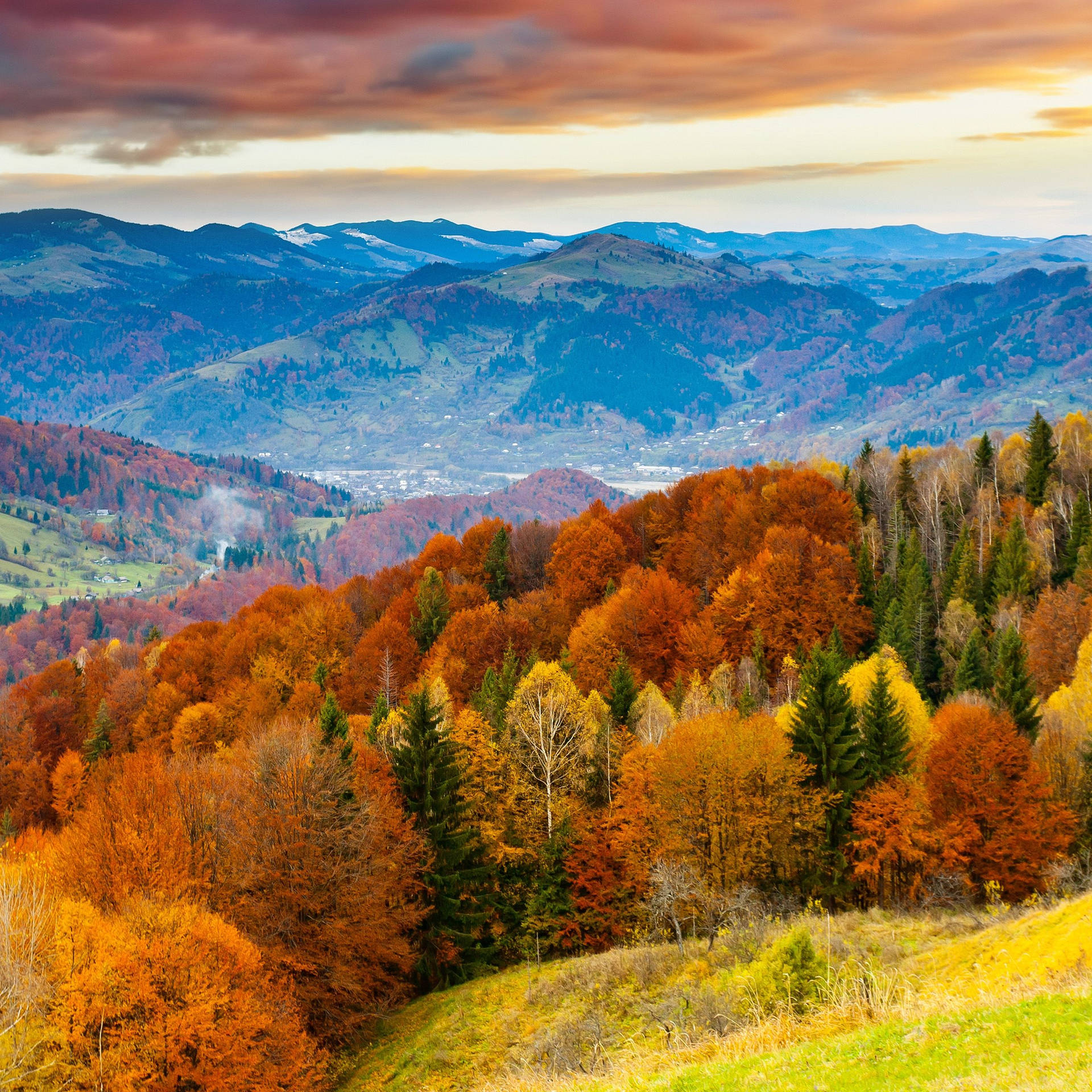 Fall among the colorful trees Wallpaper