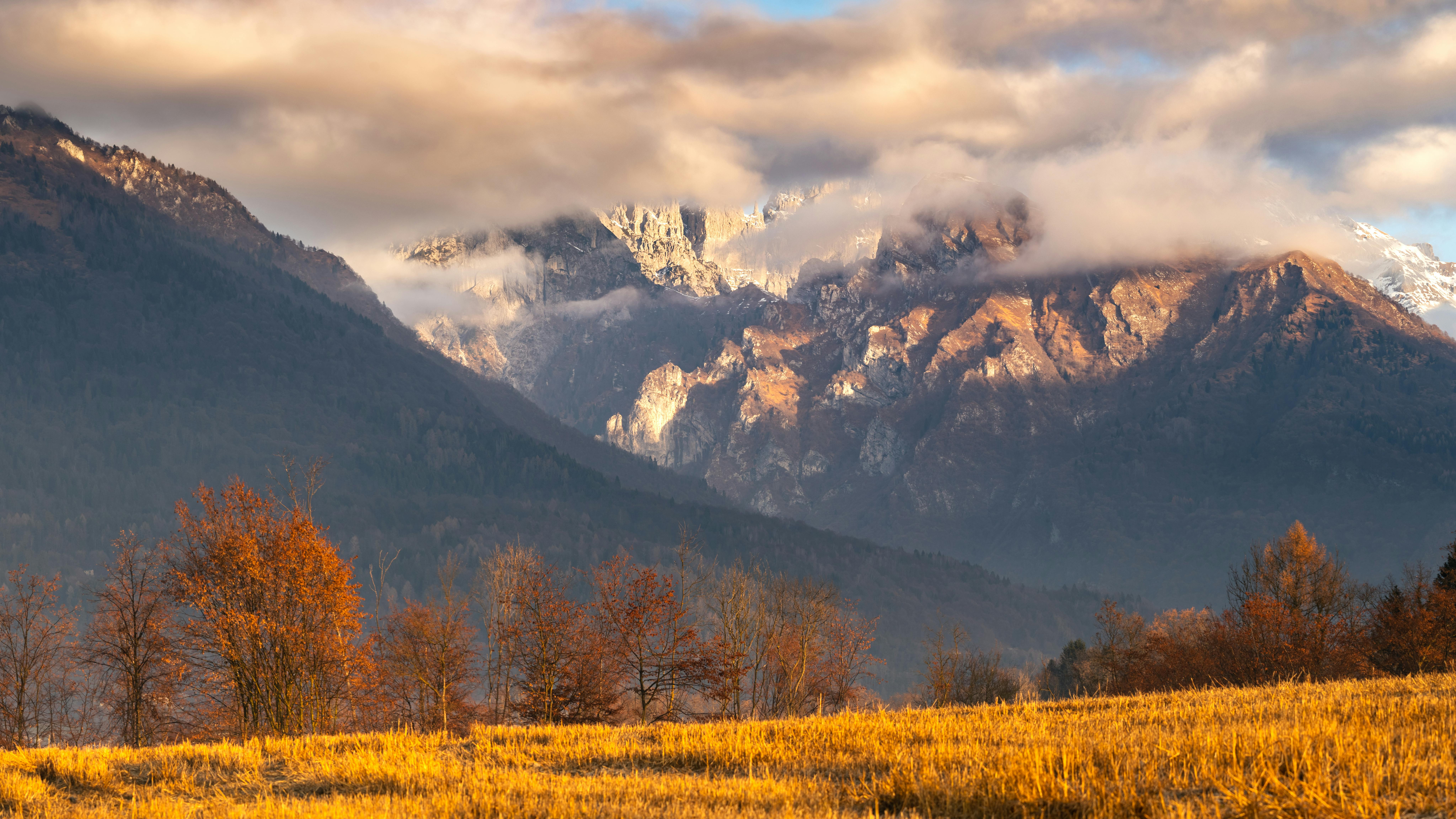 Autumn Trees Near Snow Covered Mountain · Free