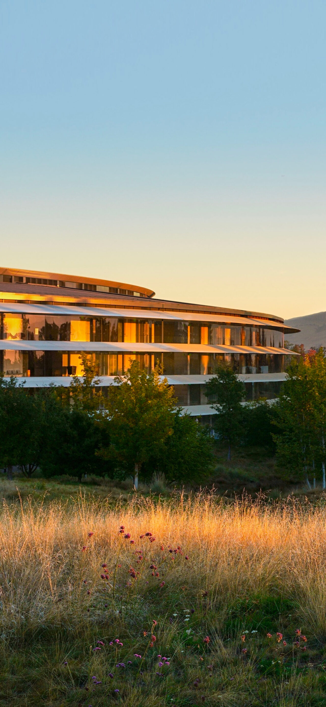 Apple Park